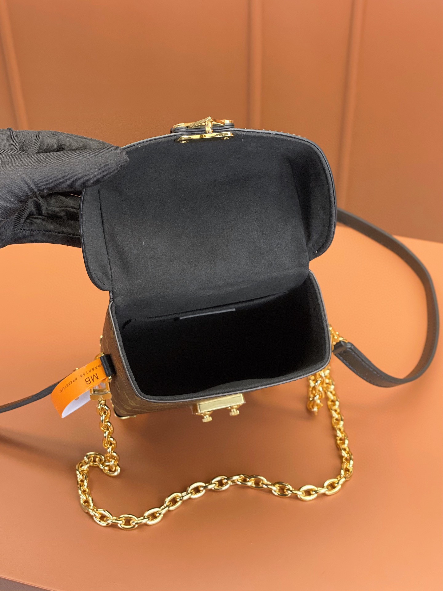 LV Bag