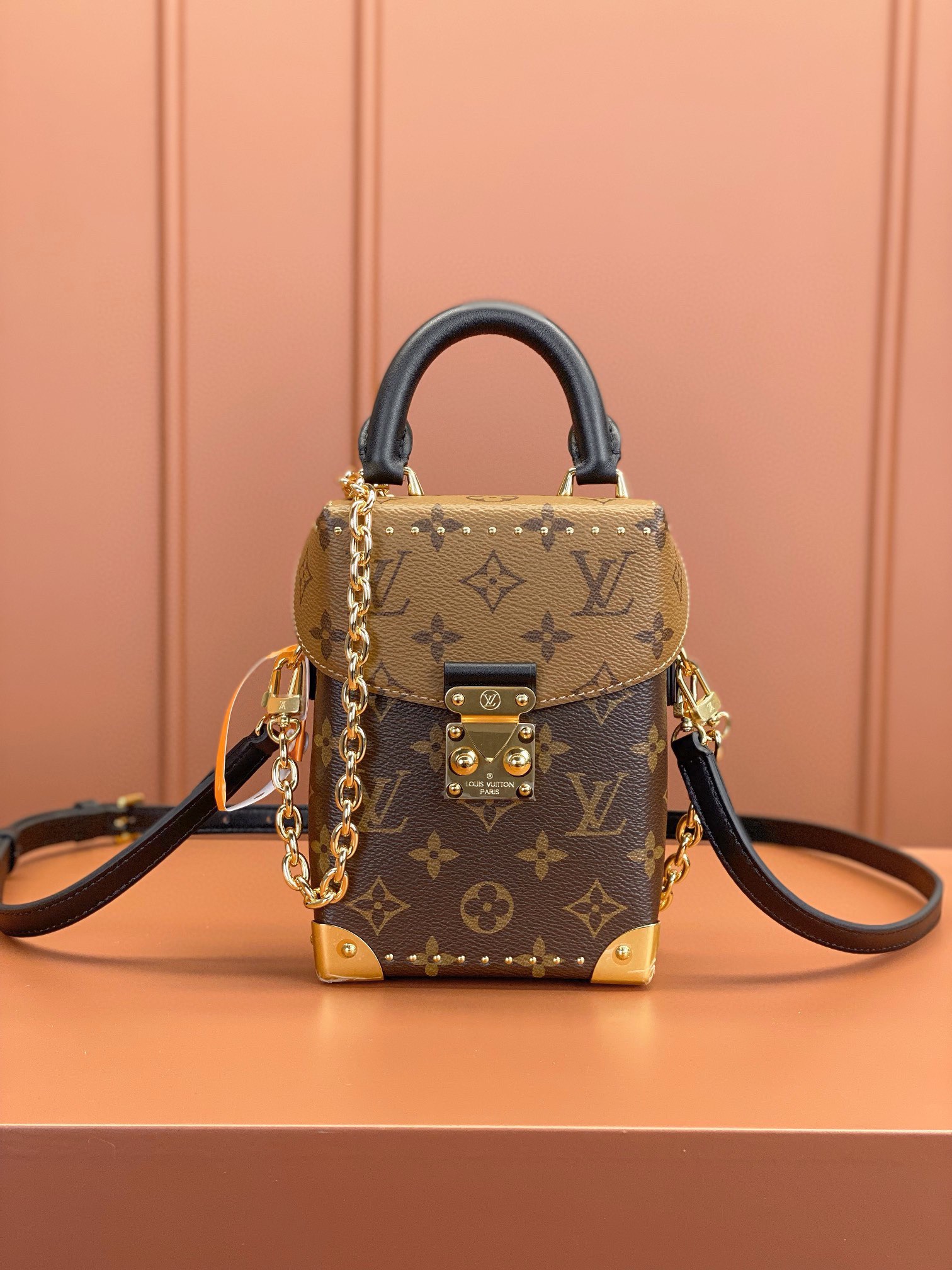 LV Bag