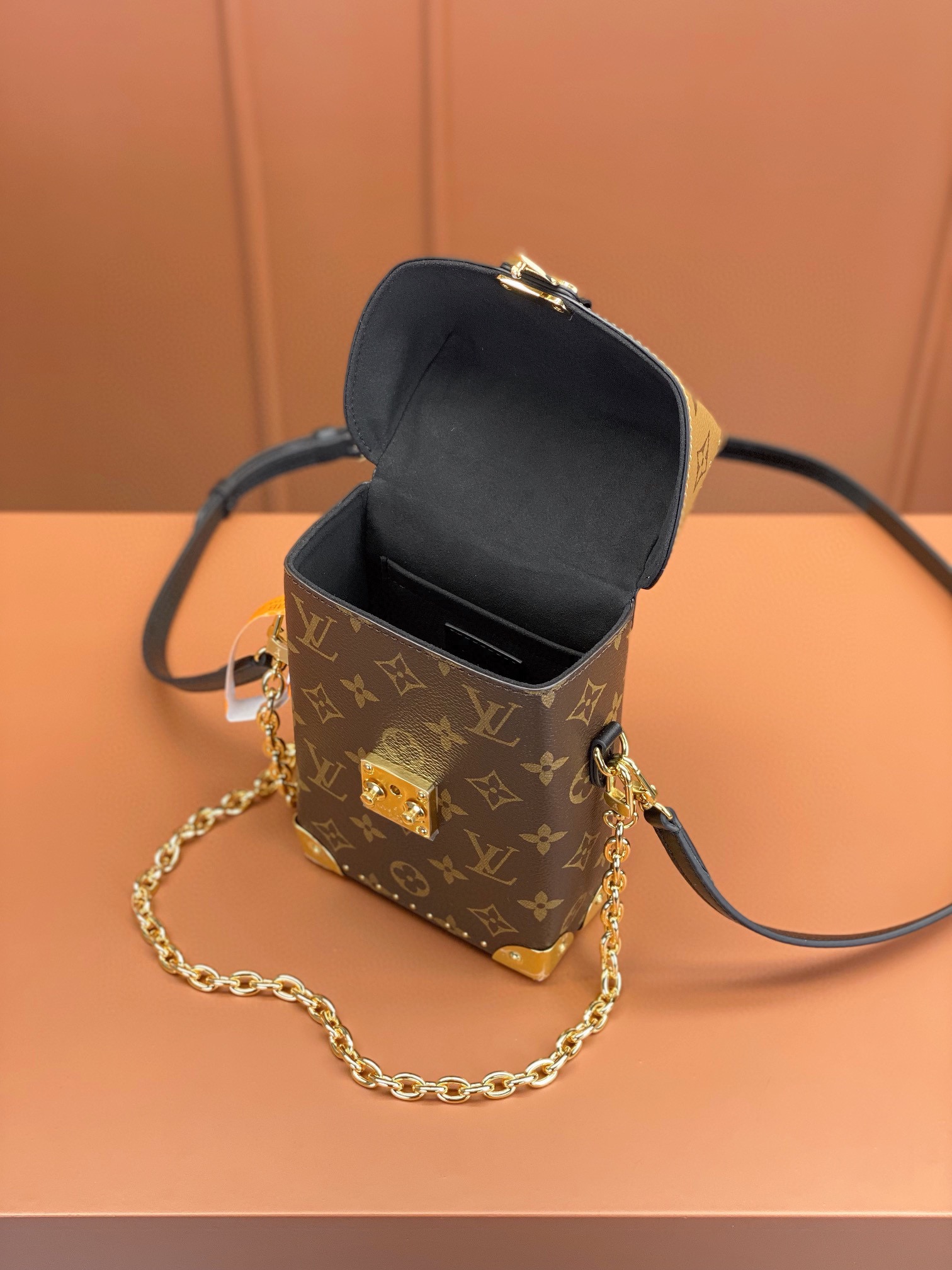 LV Bag