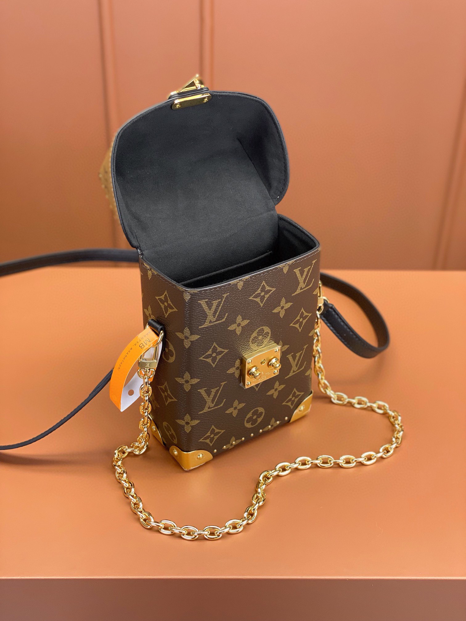 LV Bag