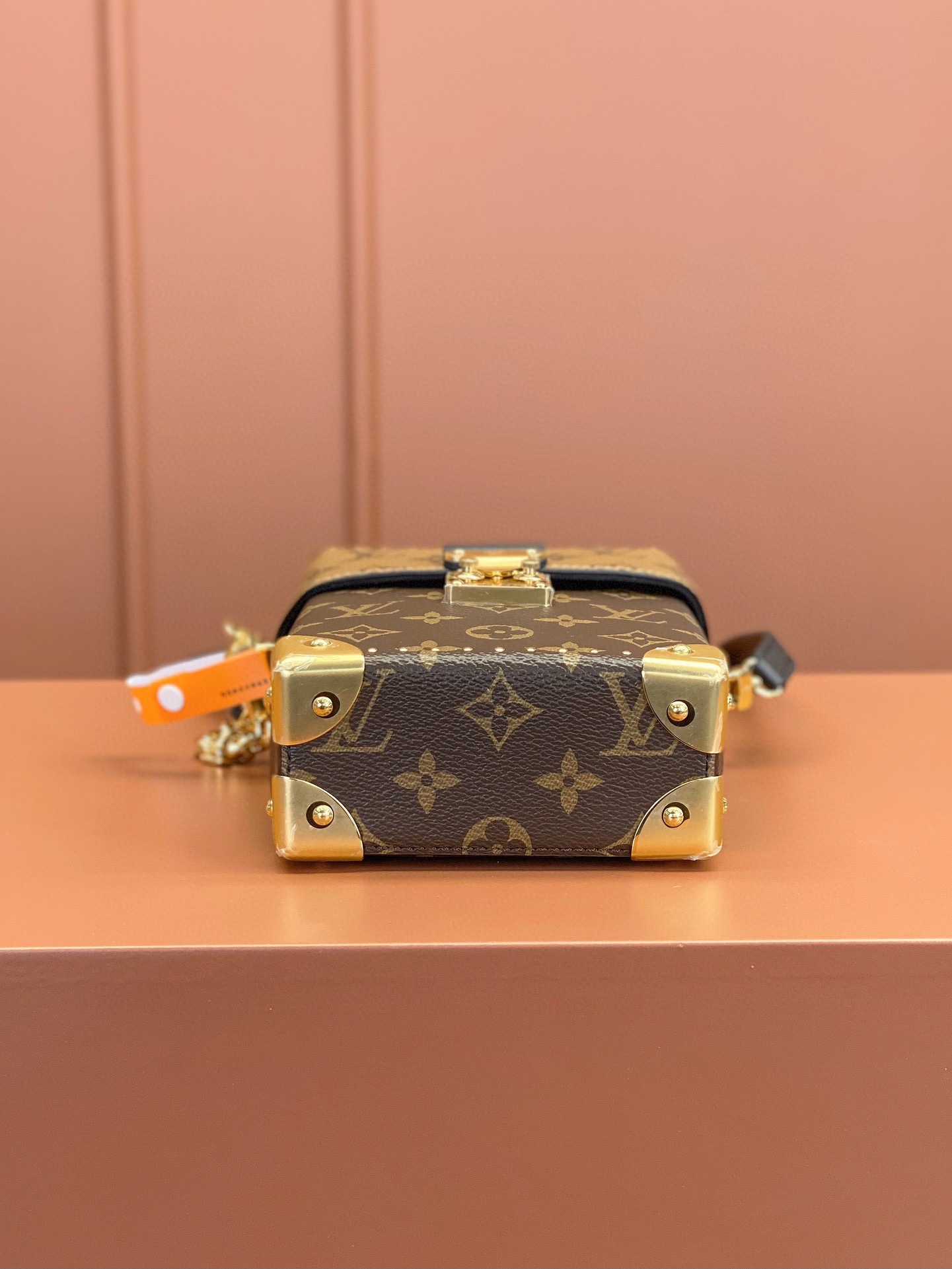 LV Bag