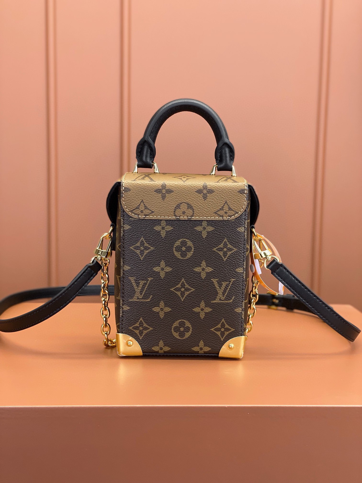 LV Bag
