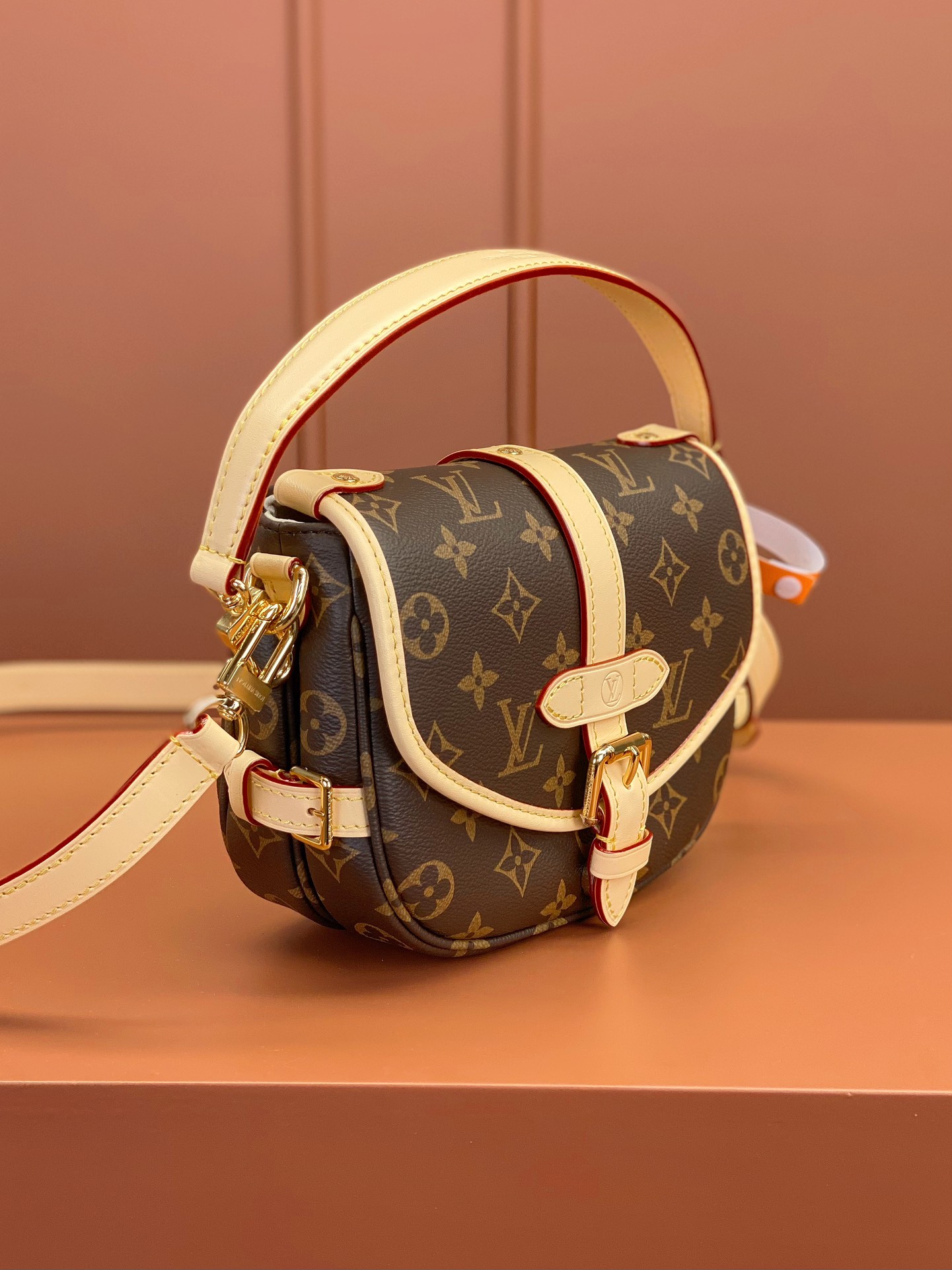 LV Bag