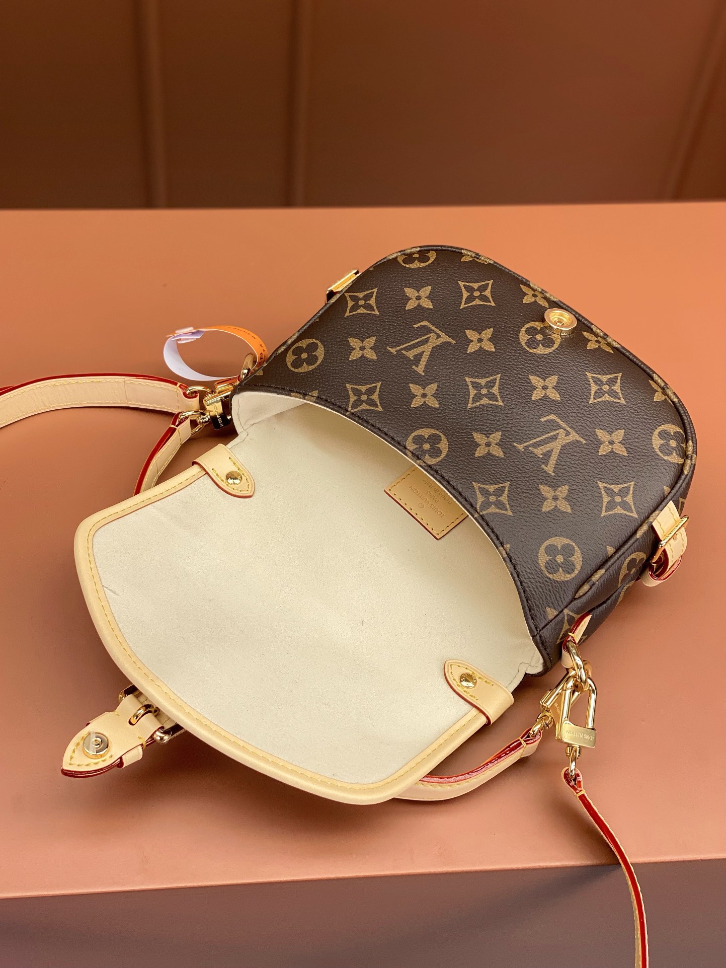 LV Bag