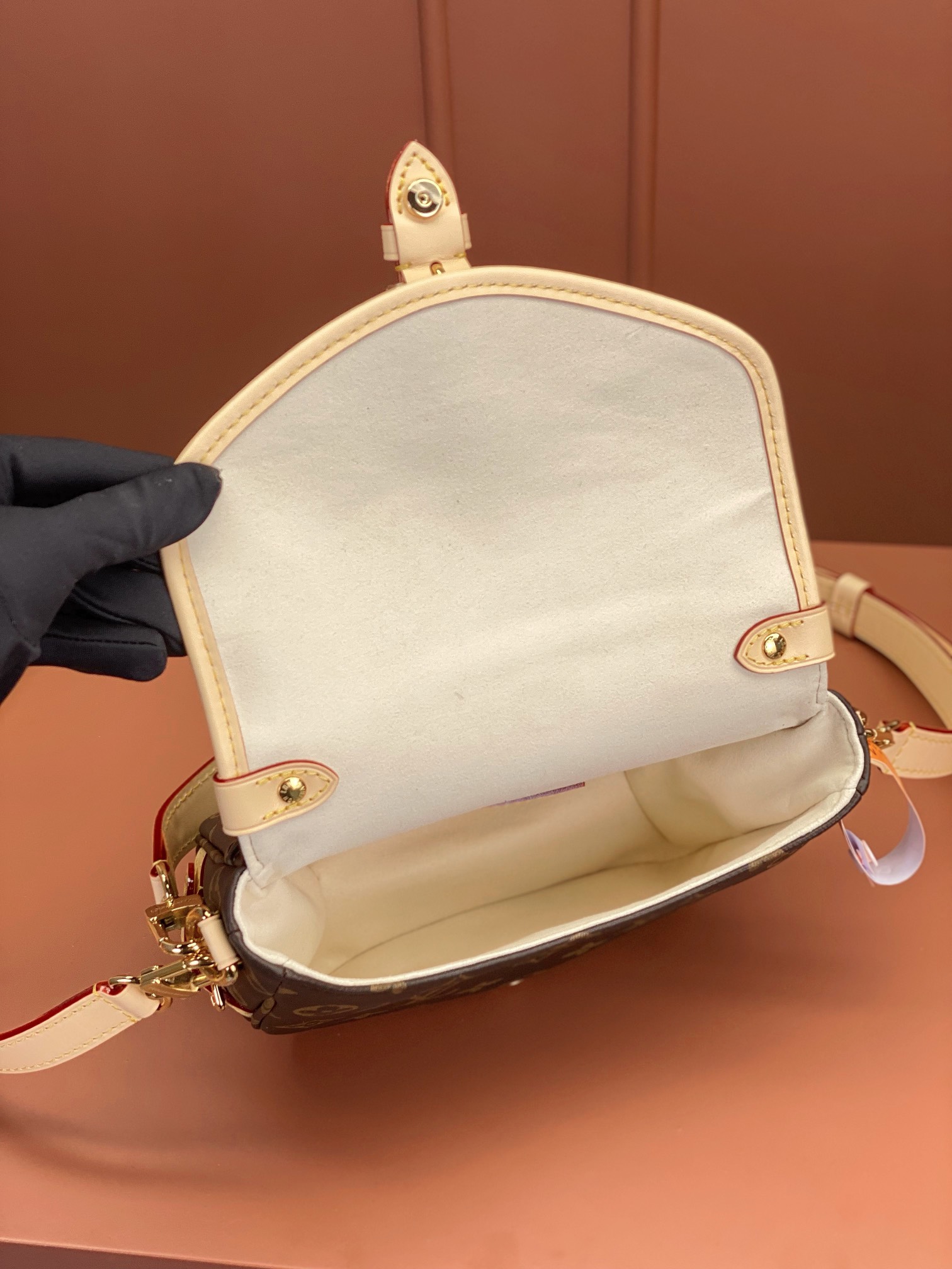 LV Bag