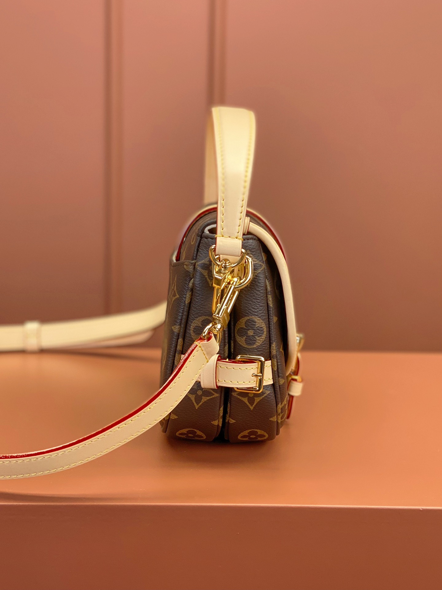 LV Bag