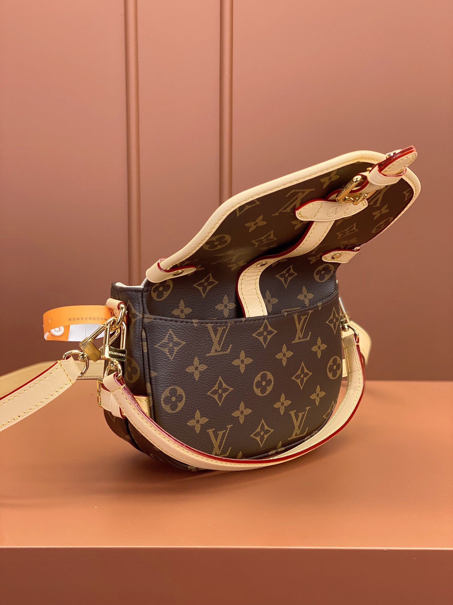 LV Bag