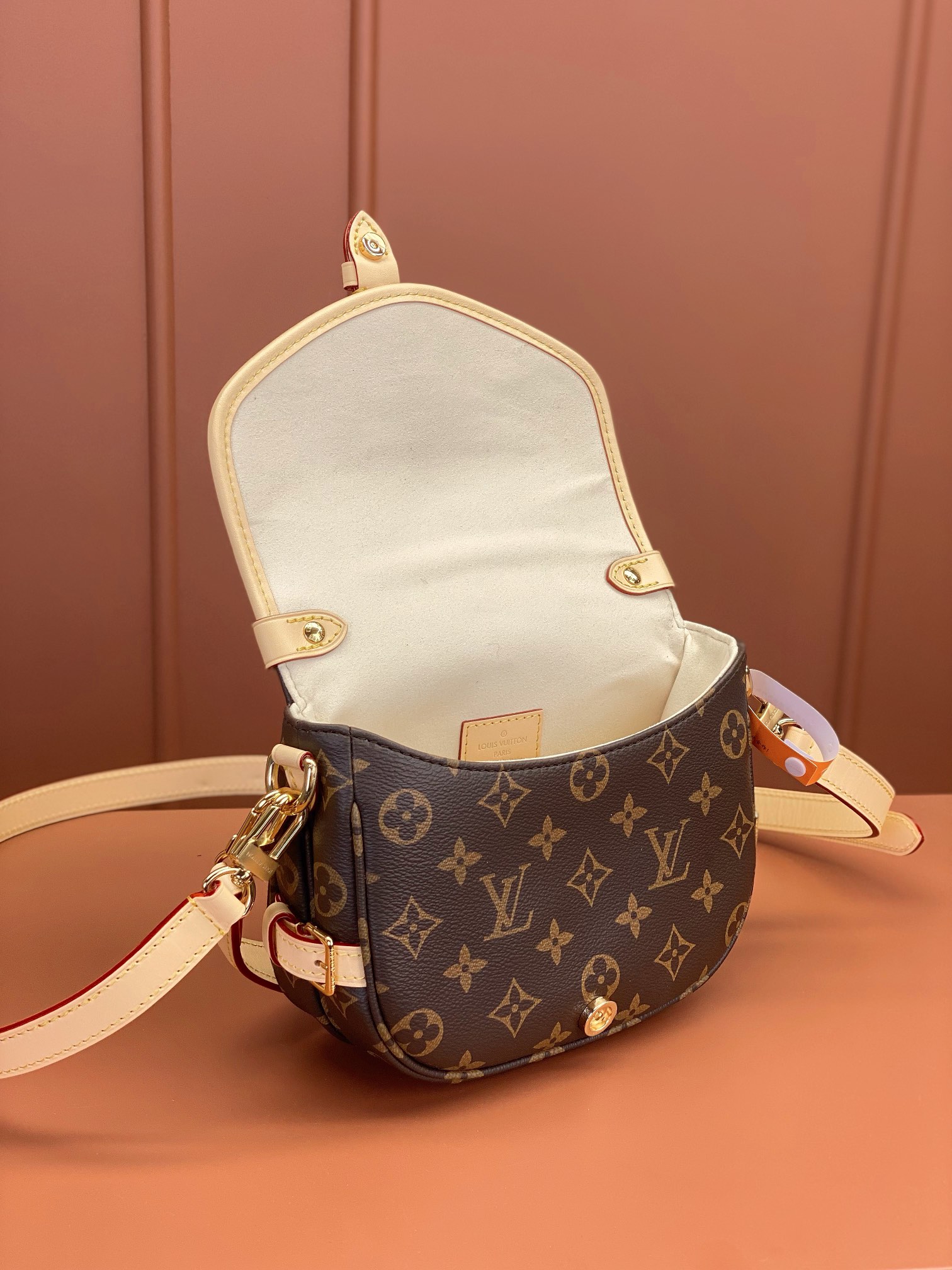 LV Bag