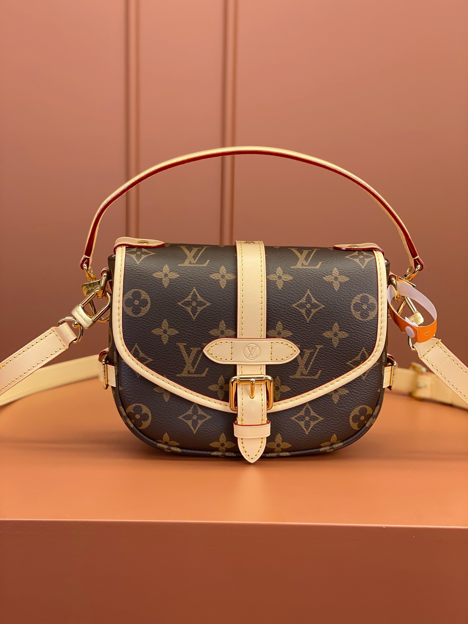 LV Bag