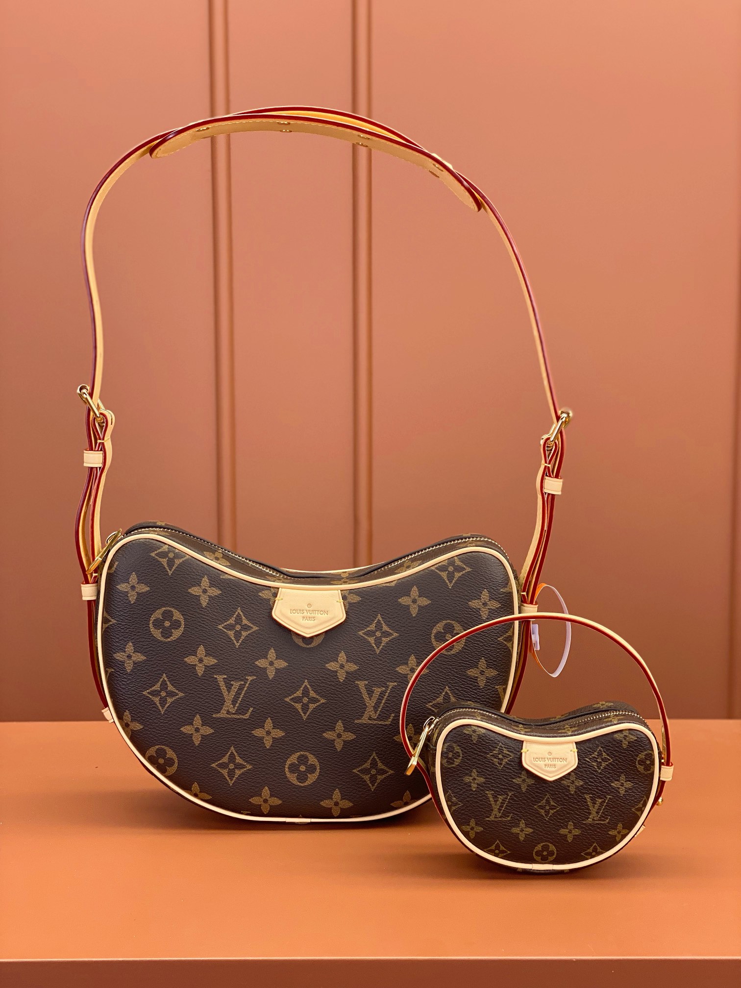 LV Bag