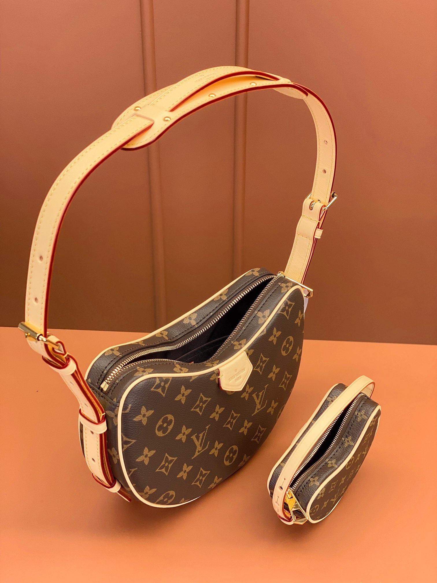 LV Bag