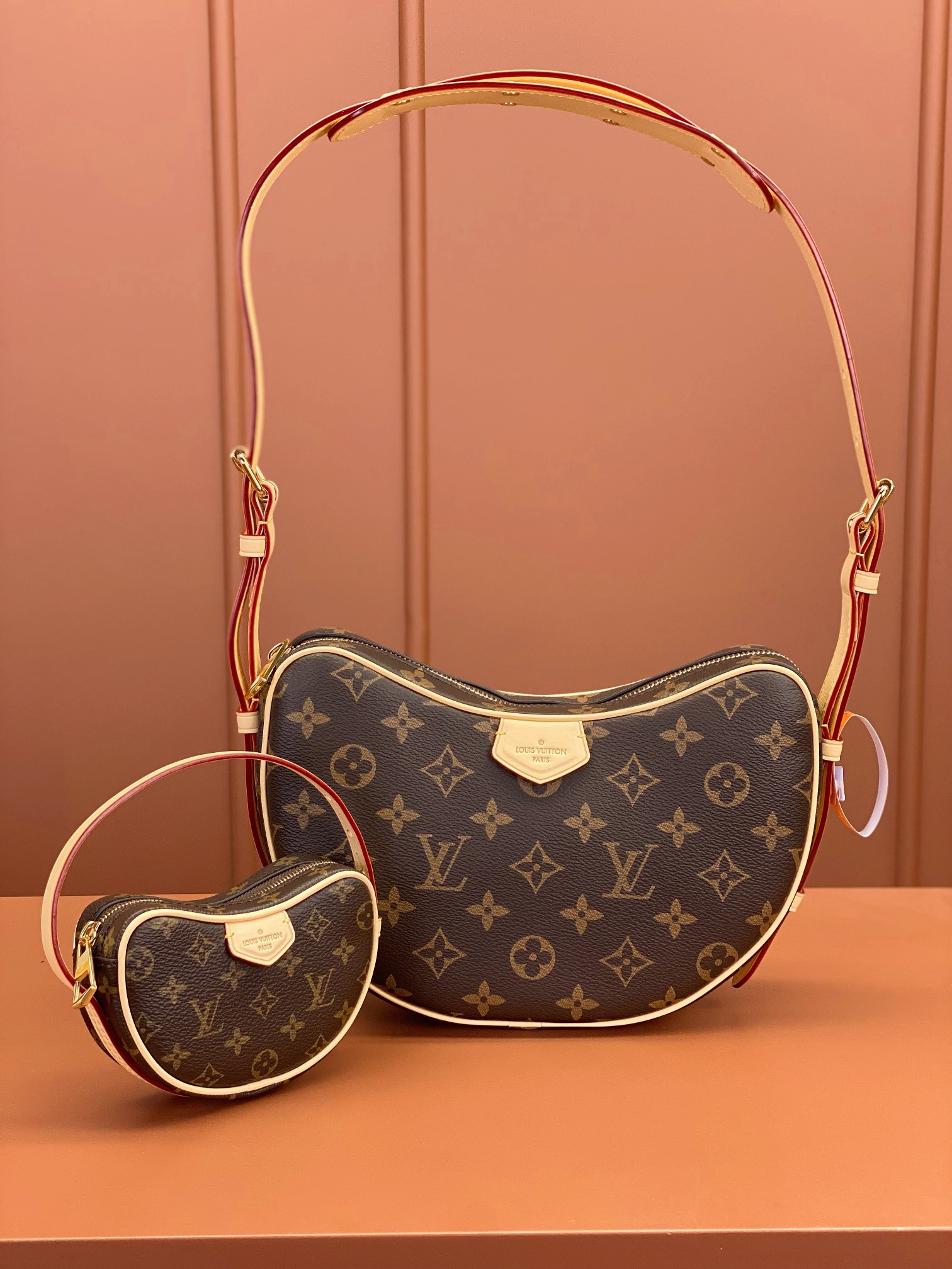 LV Bag
