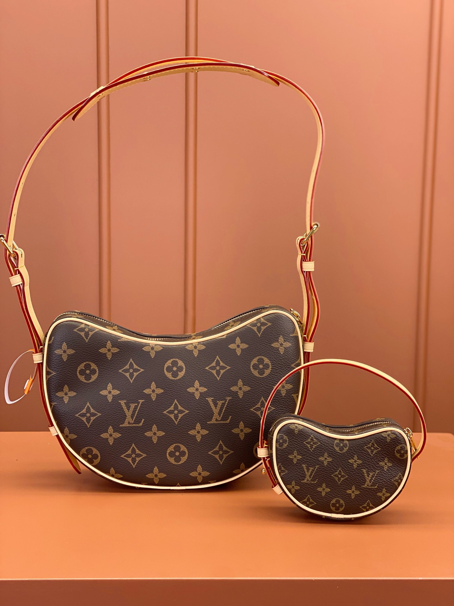 LV Bag