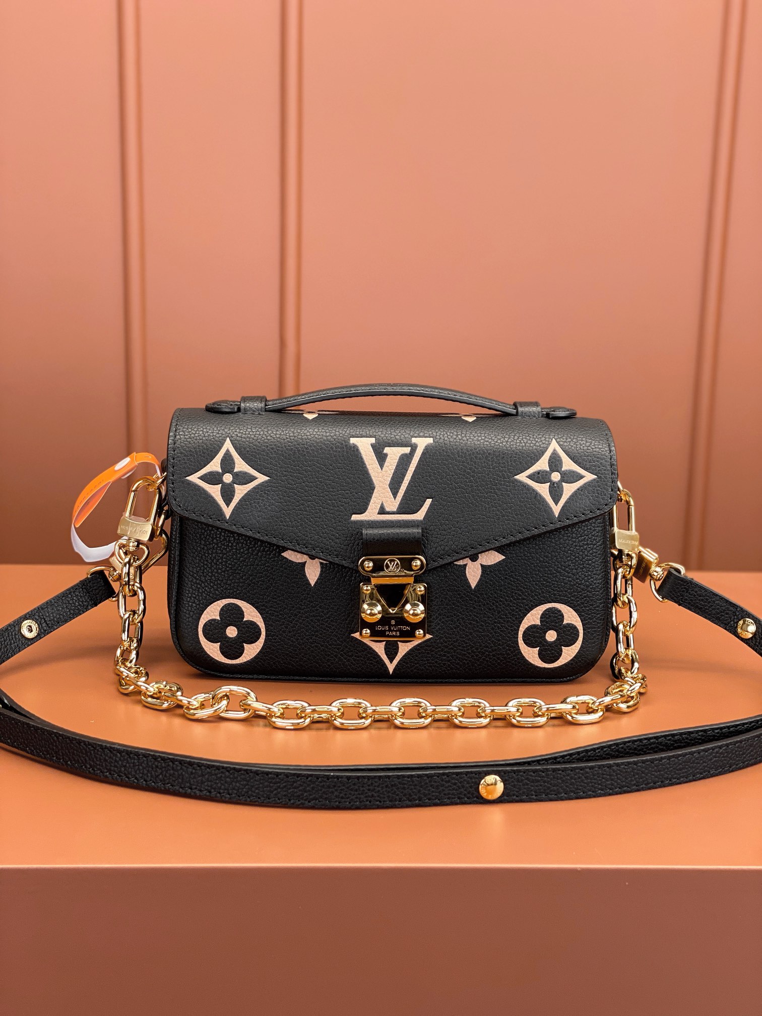 LV Bag