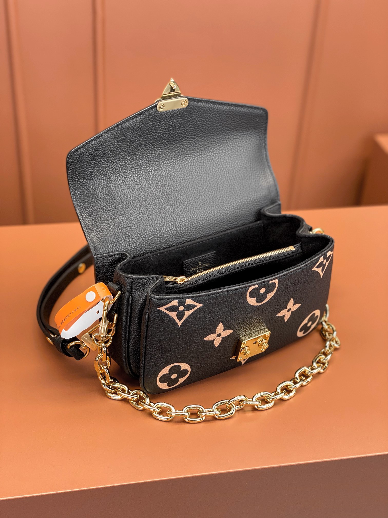 LV Bag