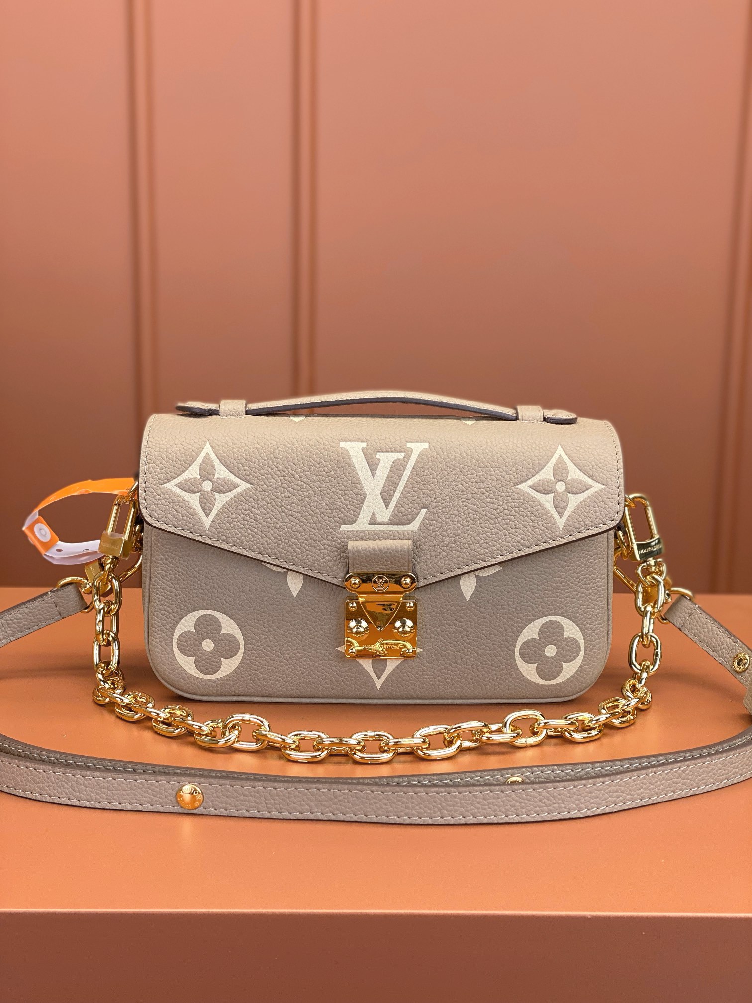 LV Bag