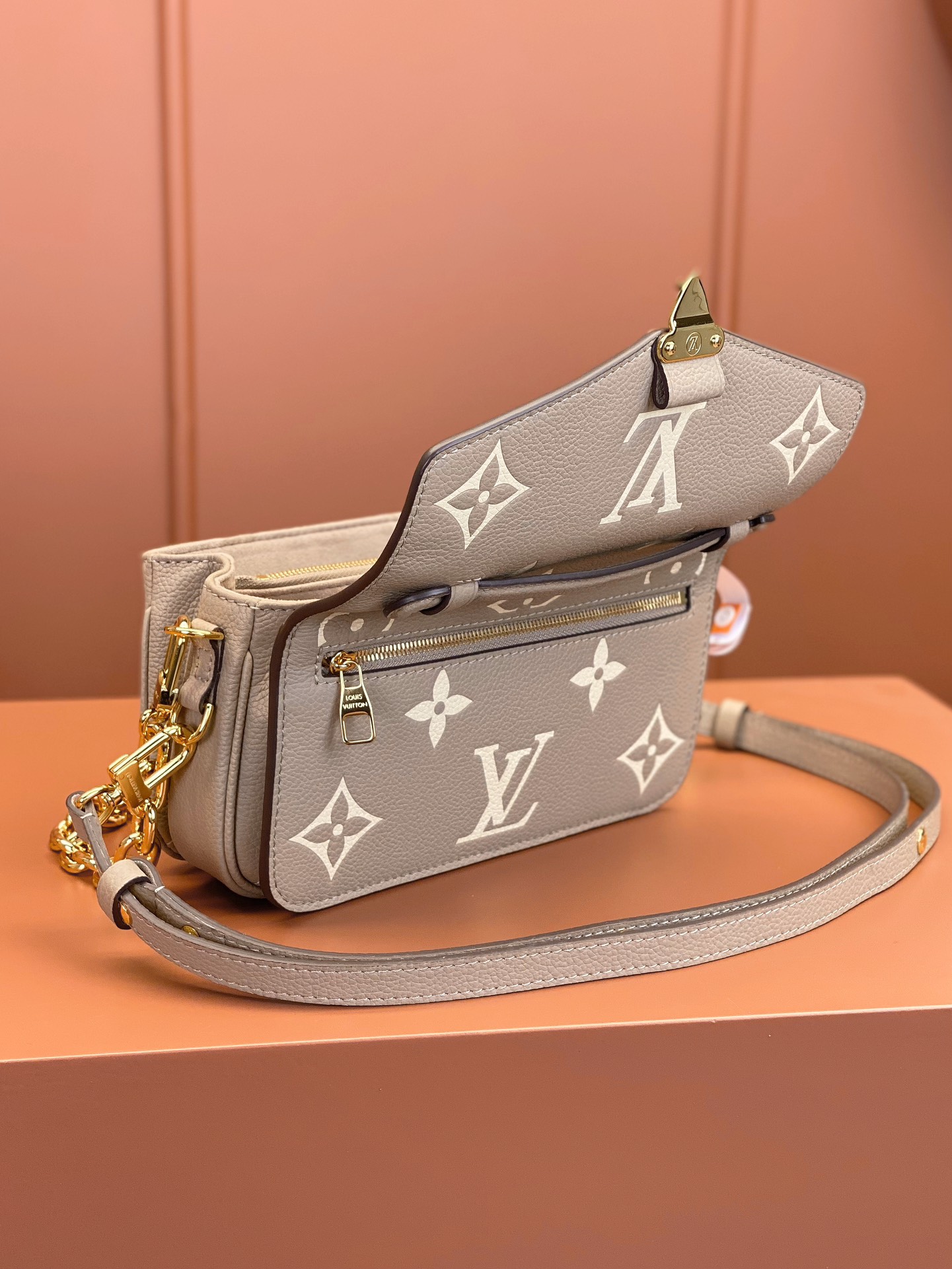 LV Bag