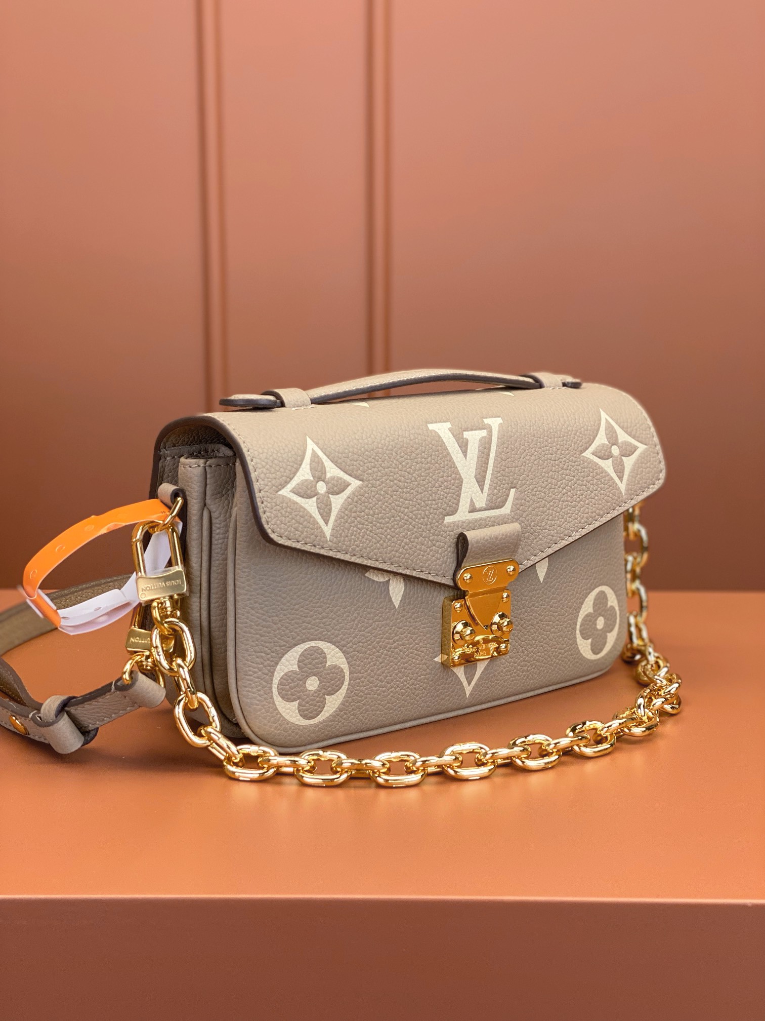 LV Bag