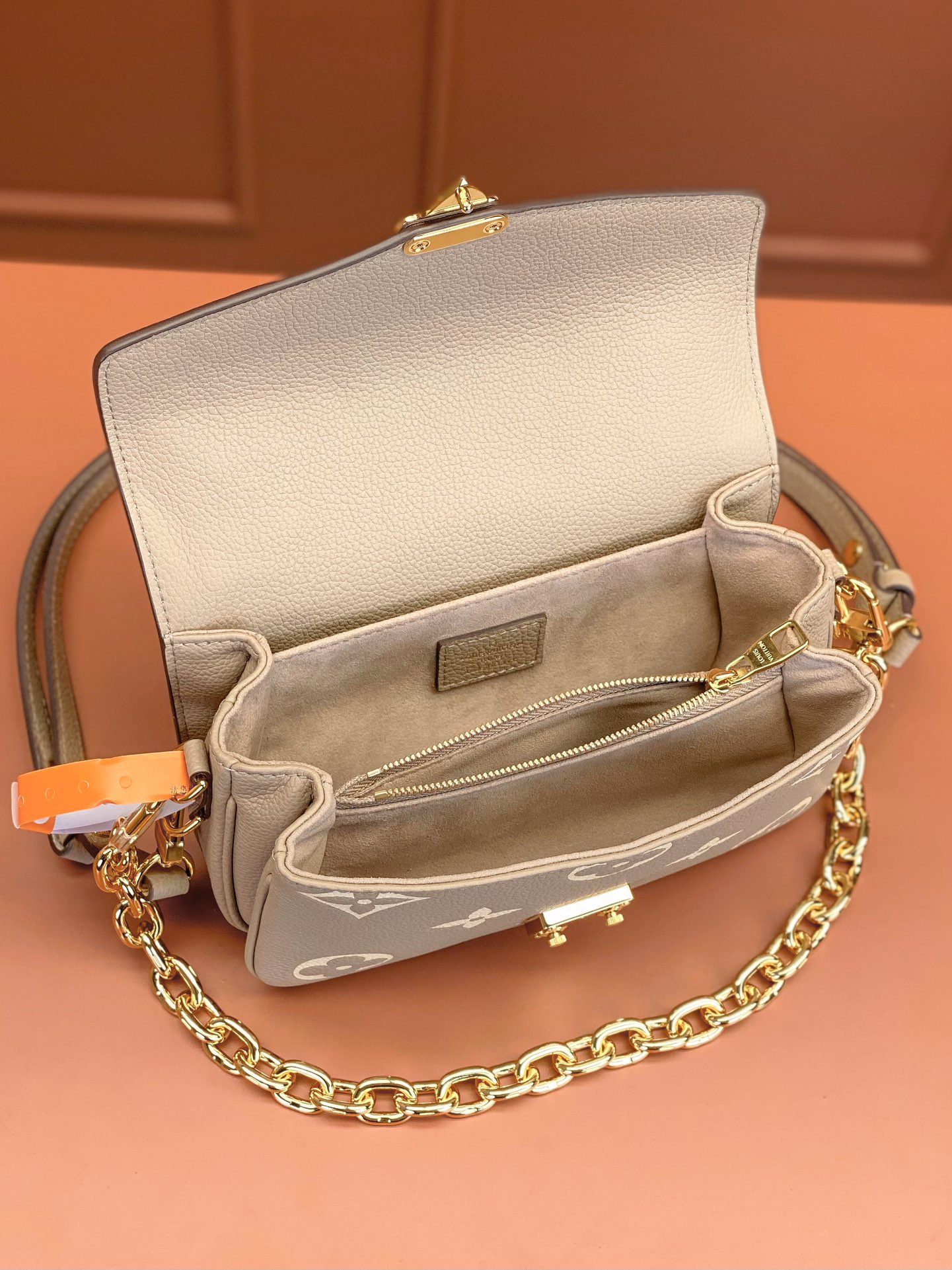 LV Bag