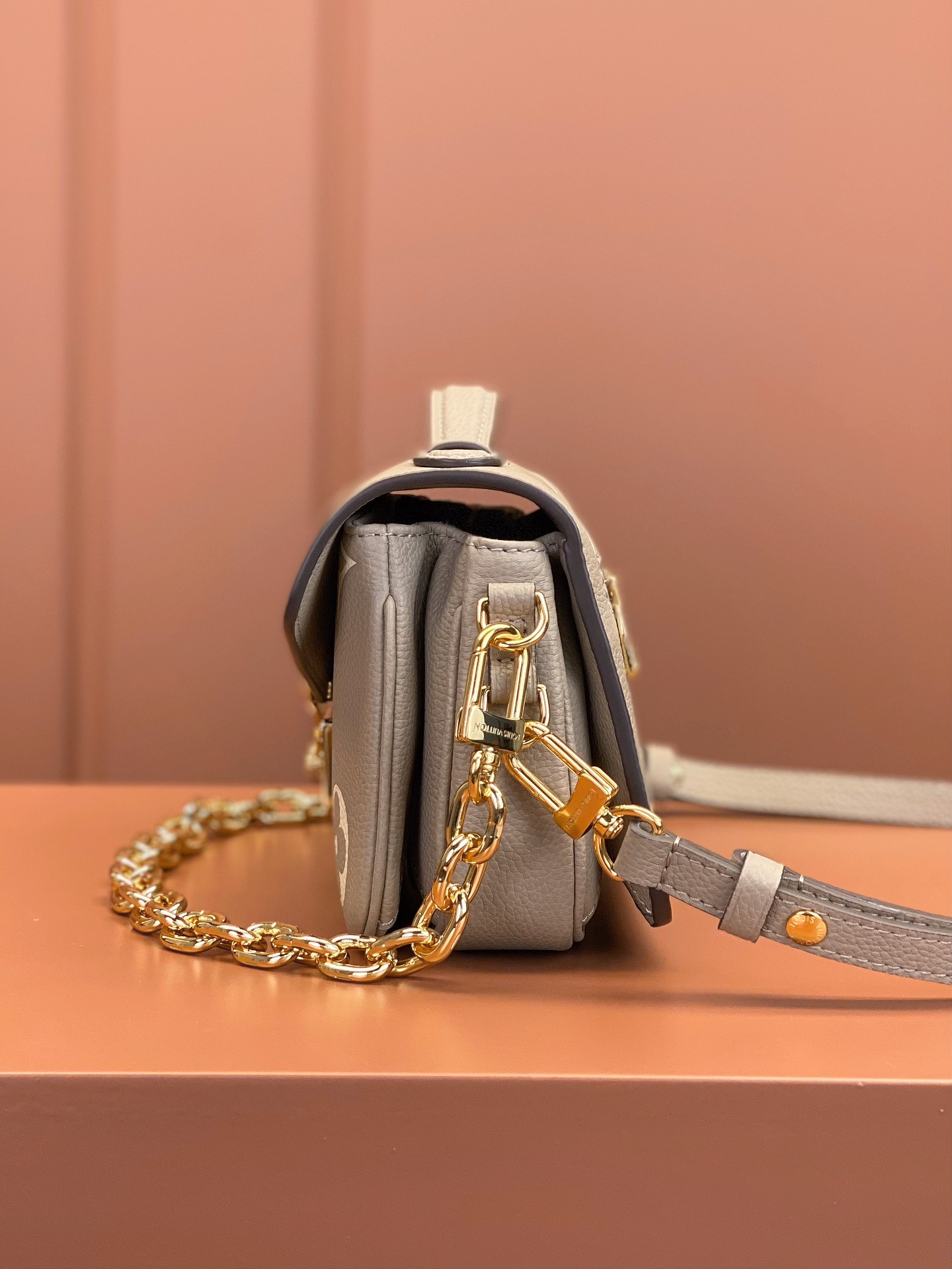 LV Bag