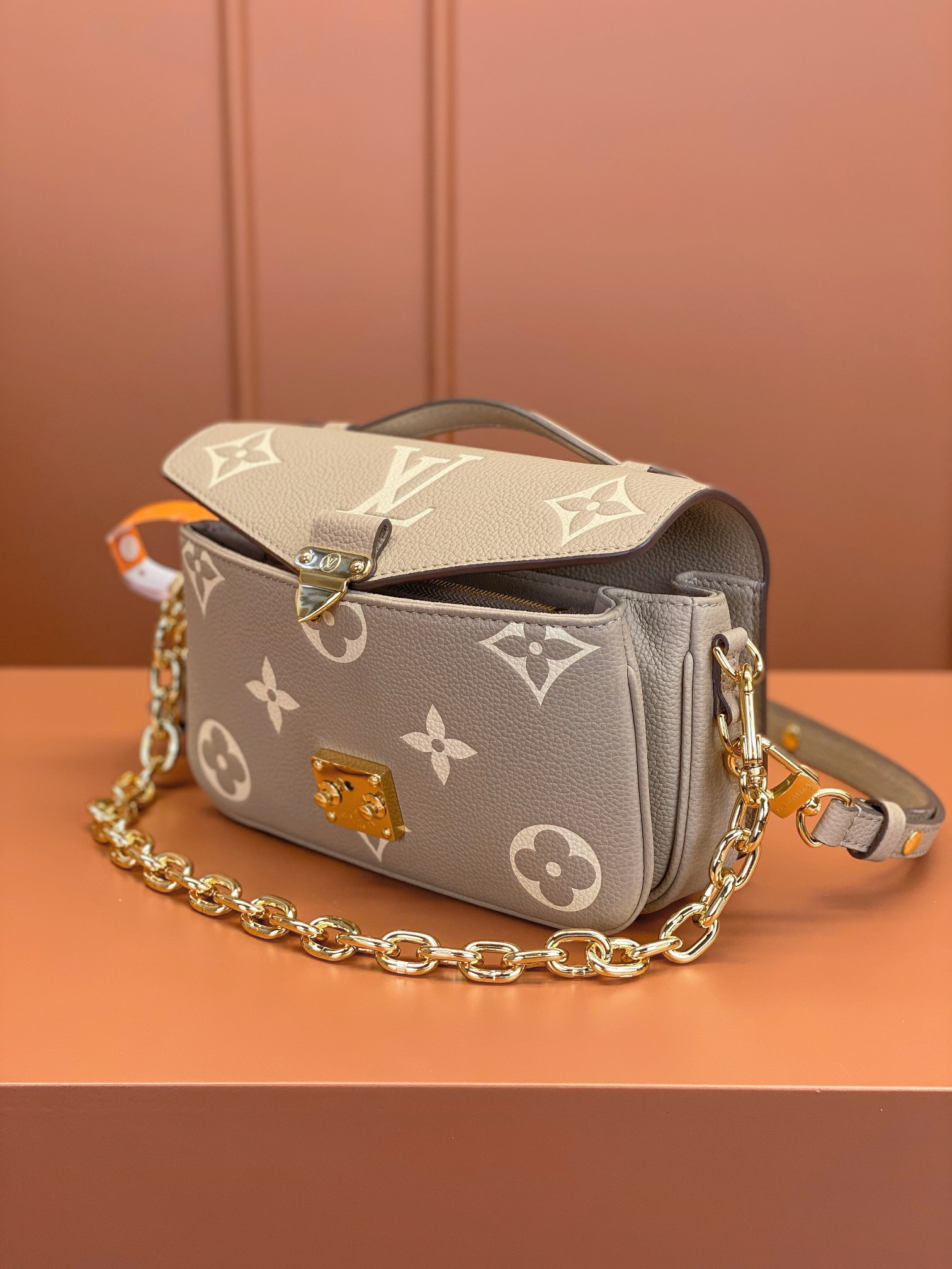 LV Bag