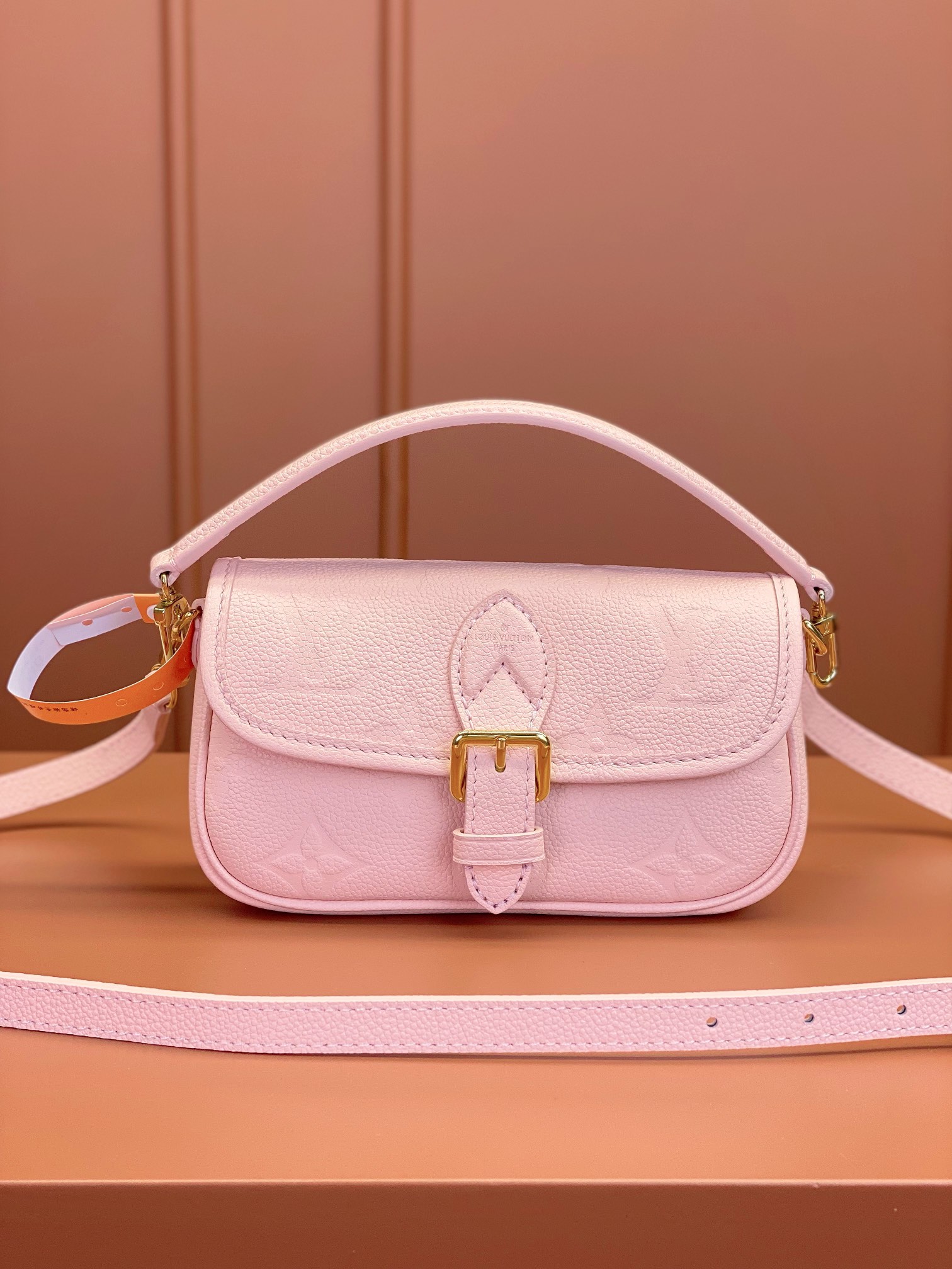 LV Bag