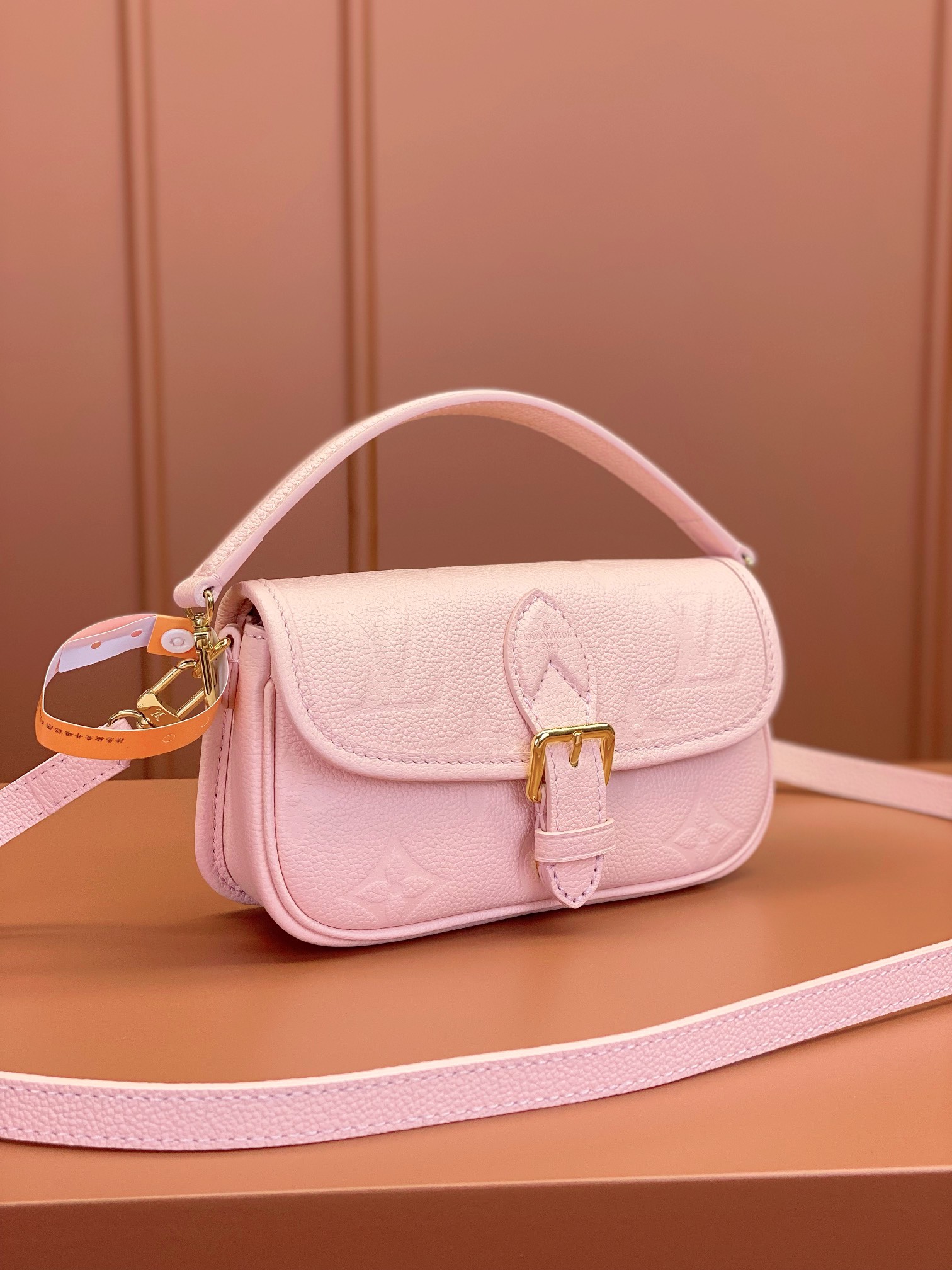 LV Bag