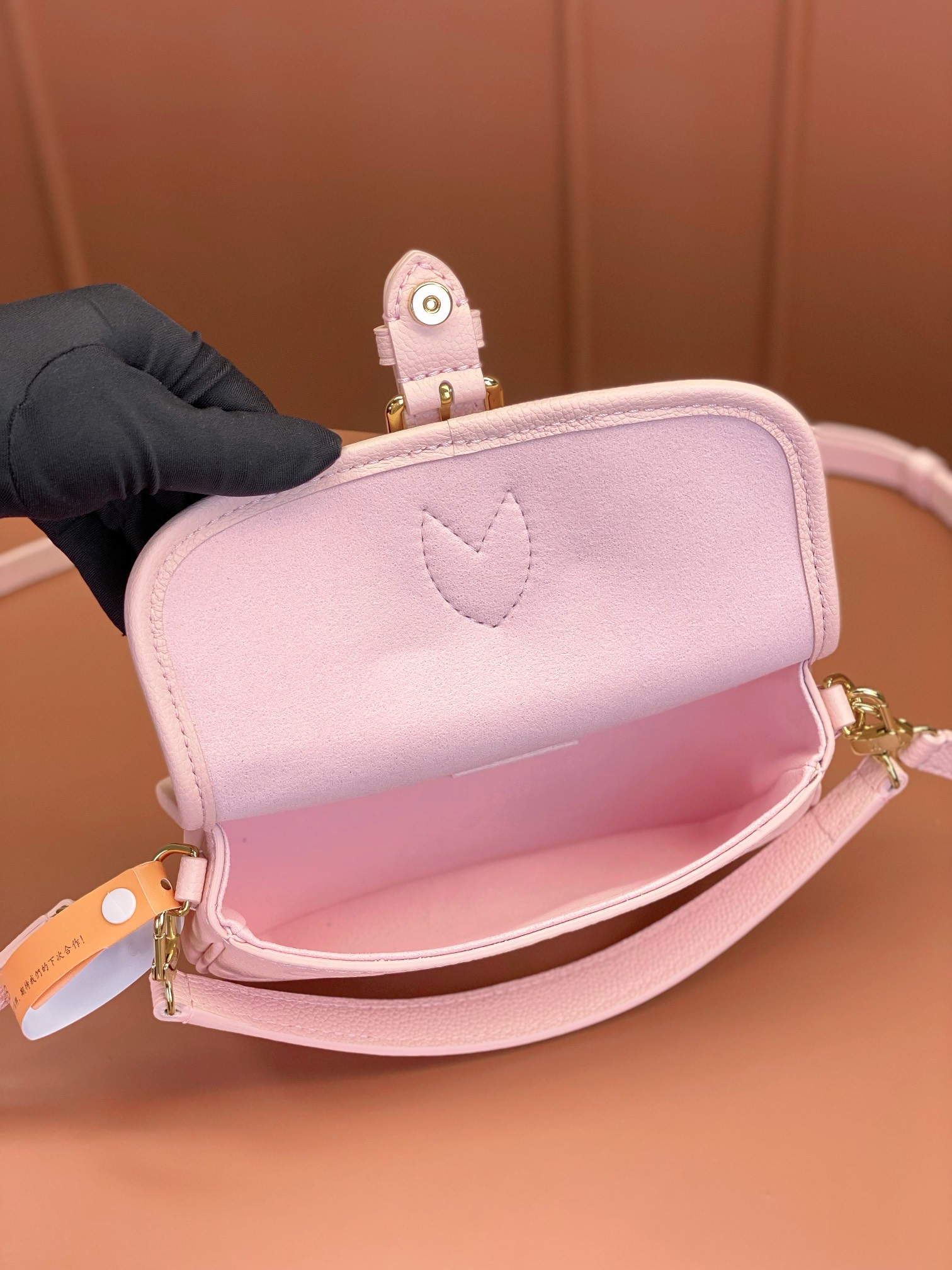 LV Bag