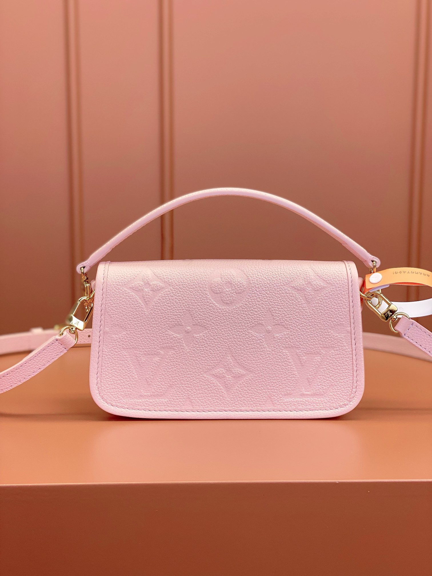LV Bag