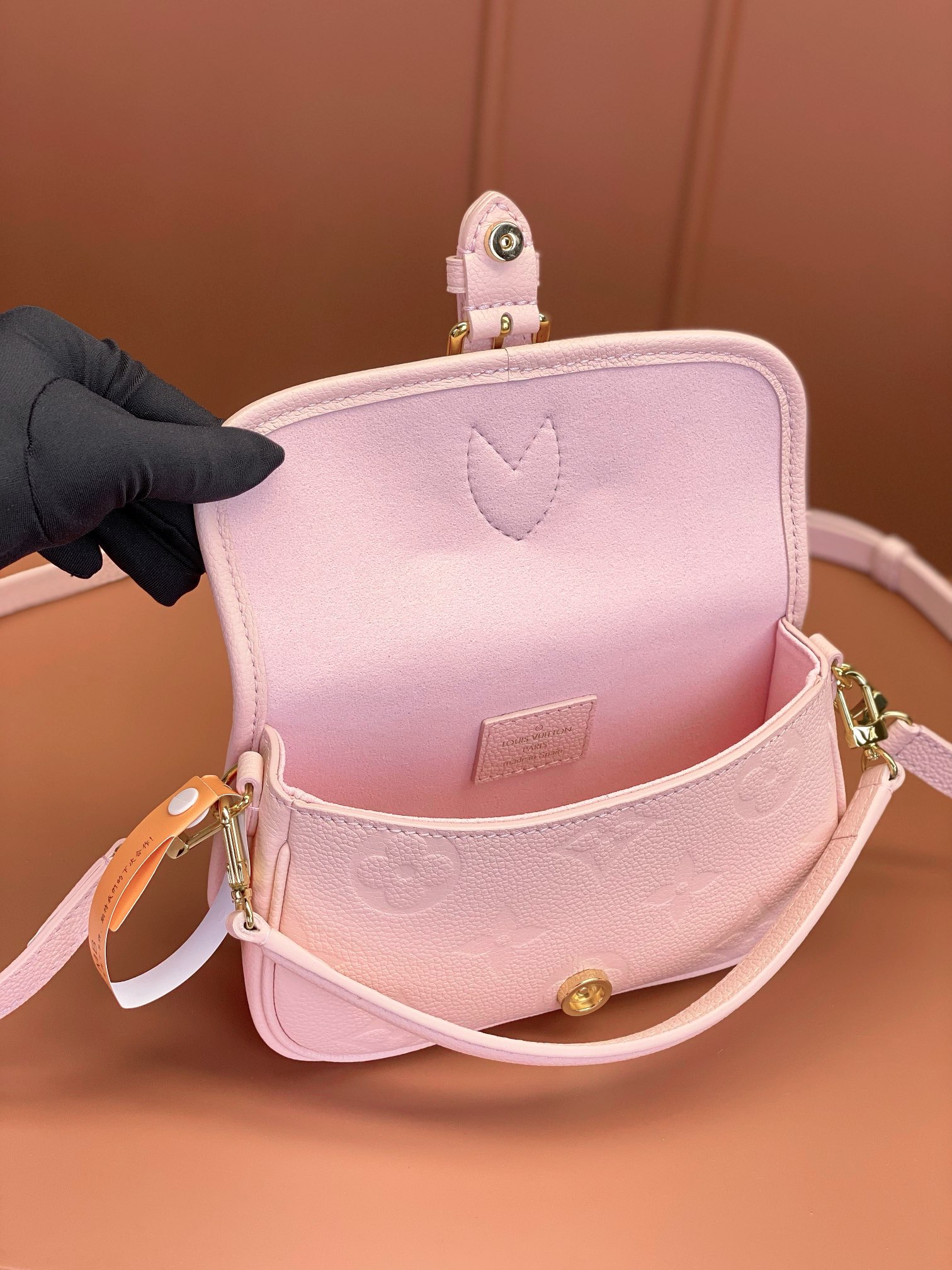 LV Bag