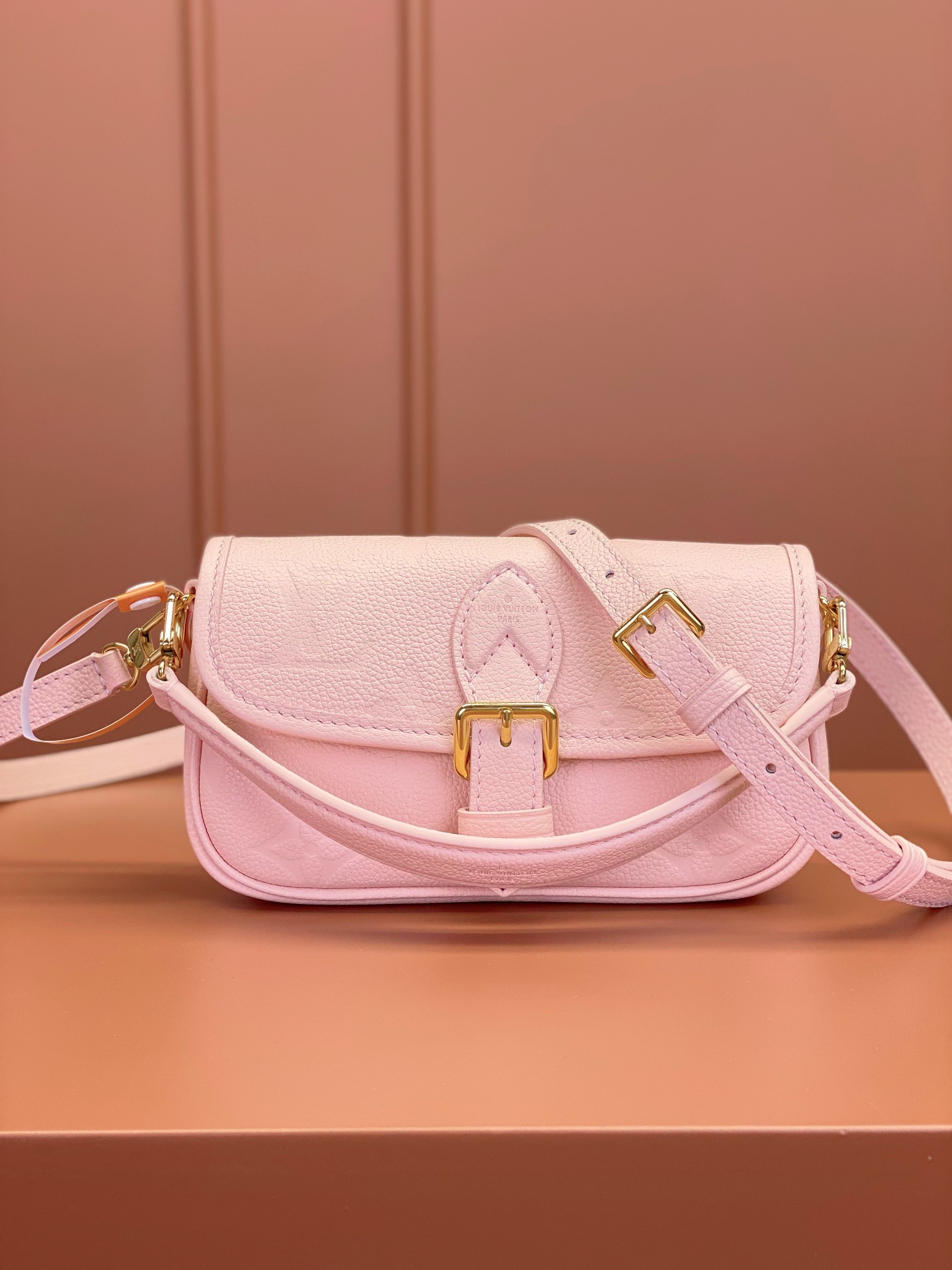 LV Bag