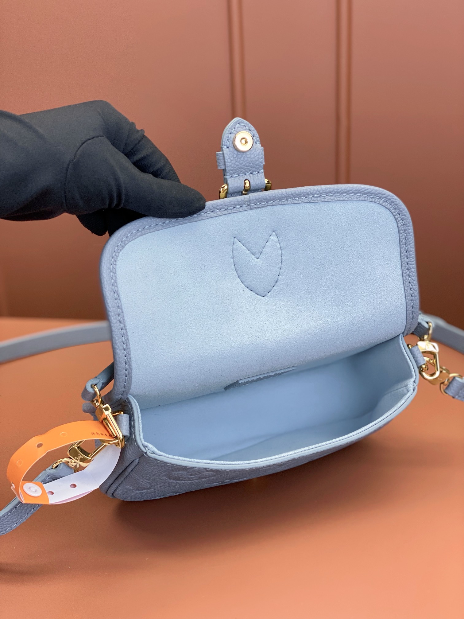 LV Bag