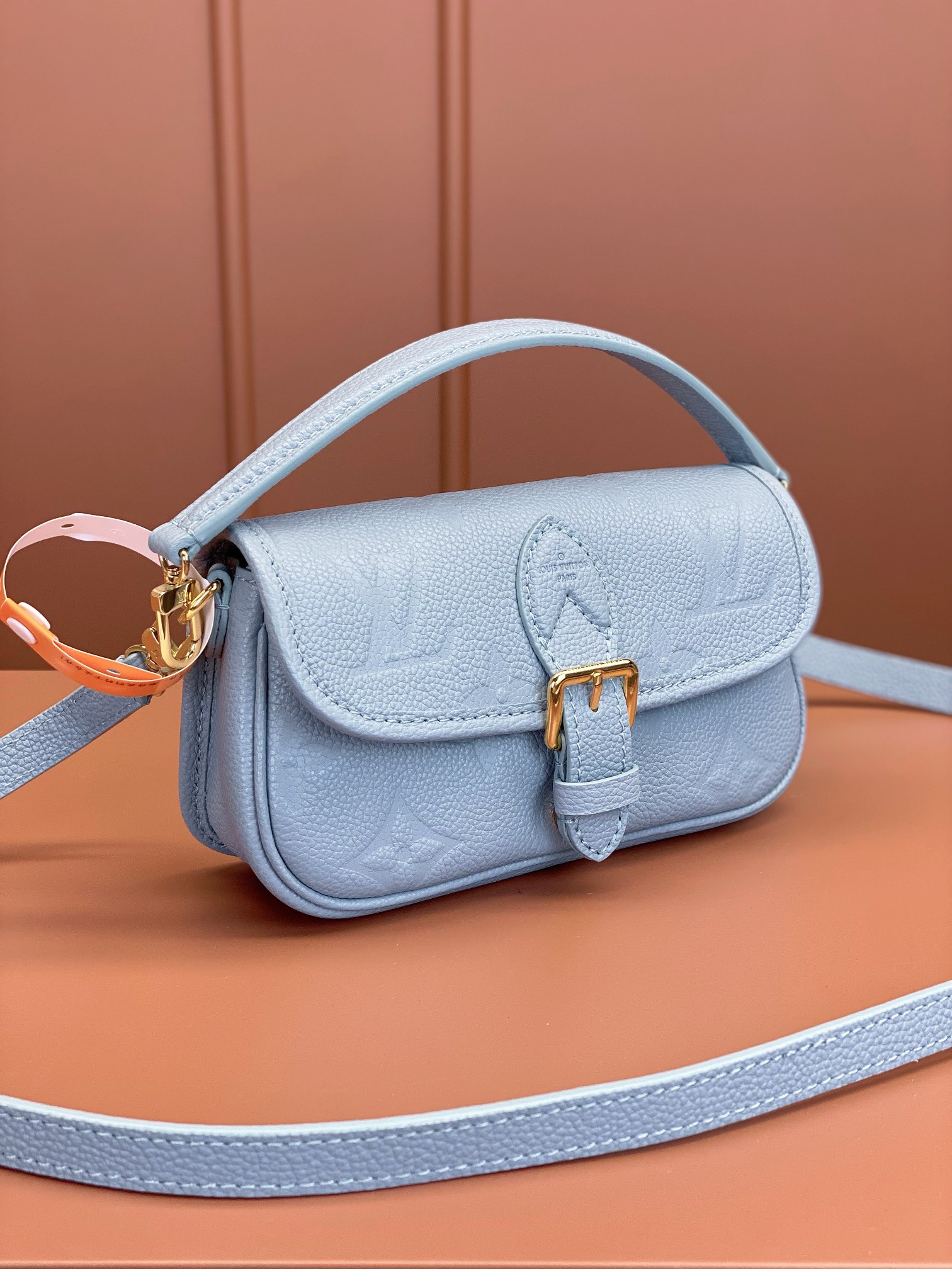LV Bag