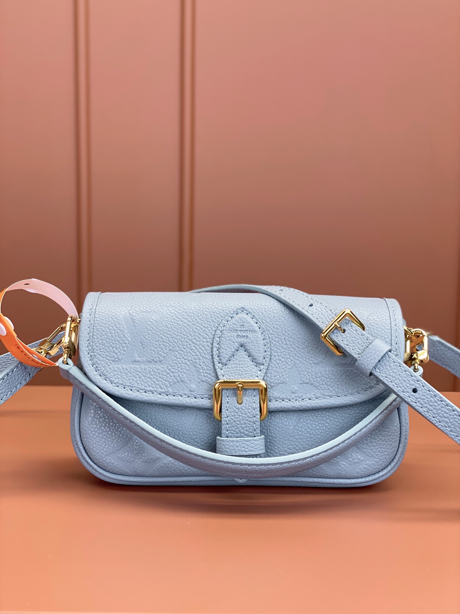 LV Bag