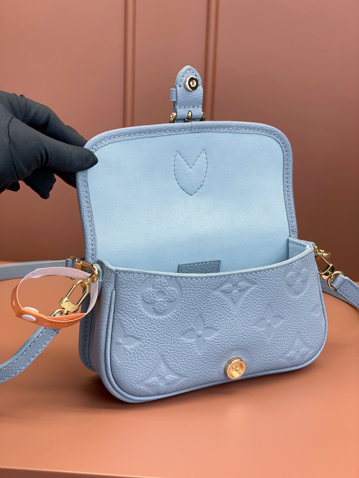LV Bag