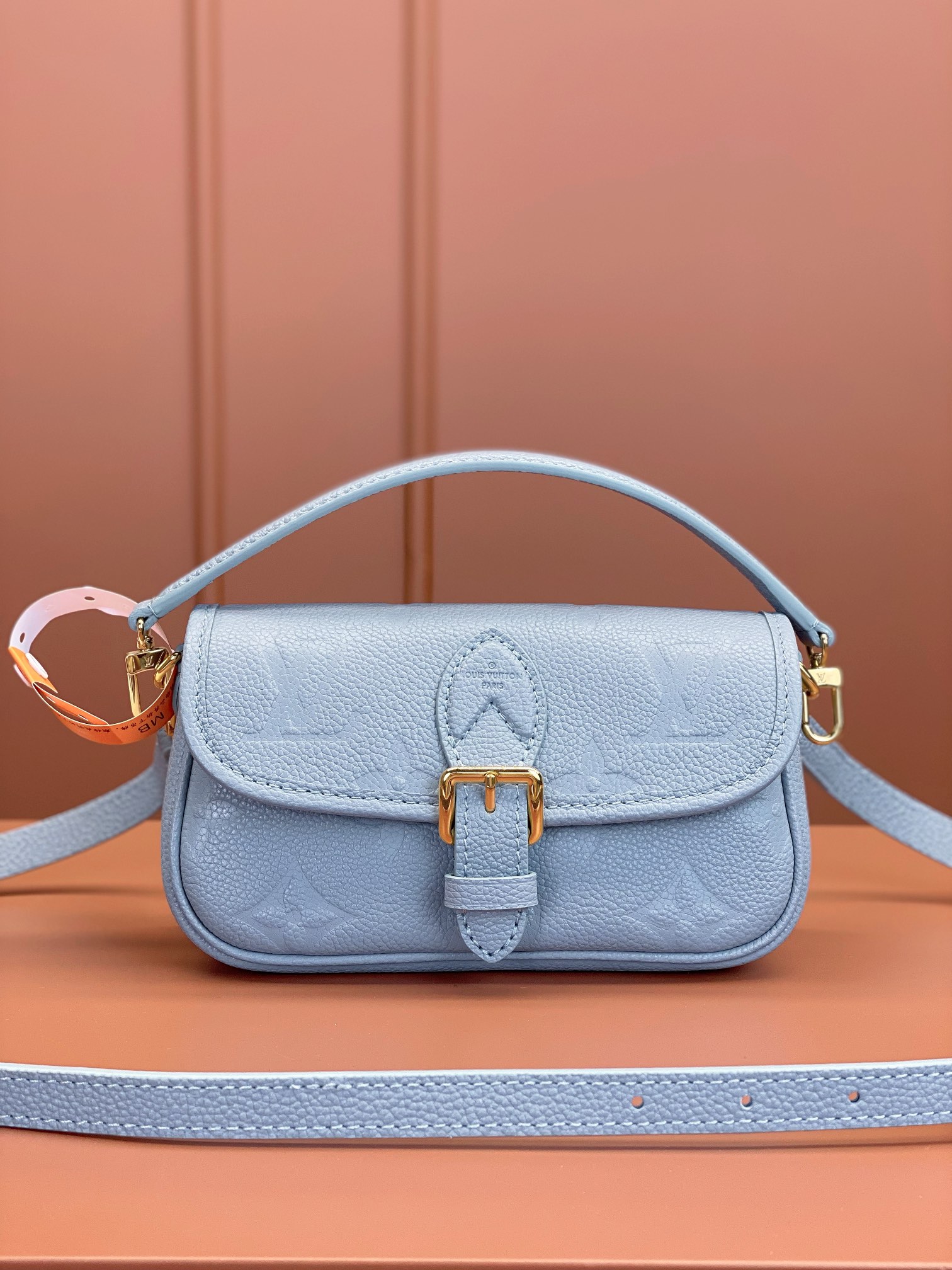 LV Bag