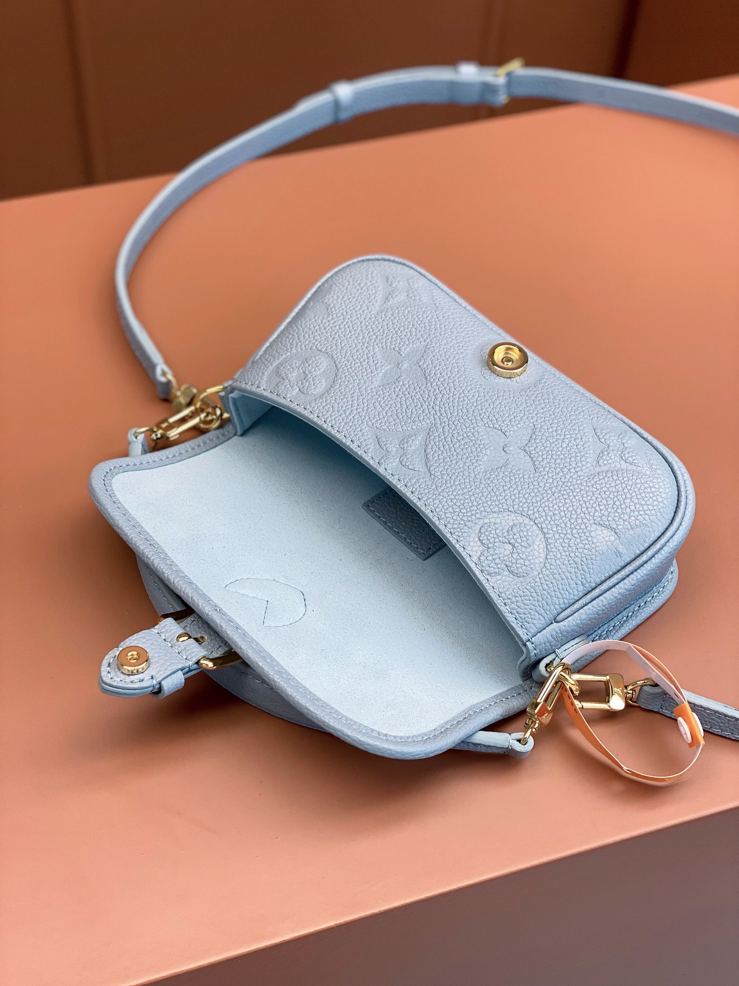 LV Bag
