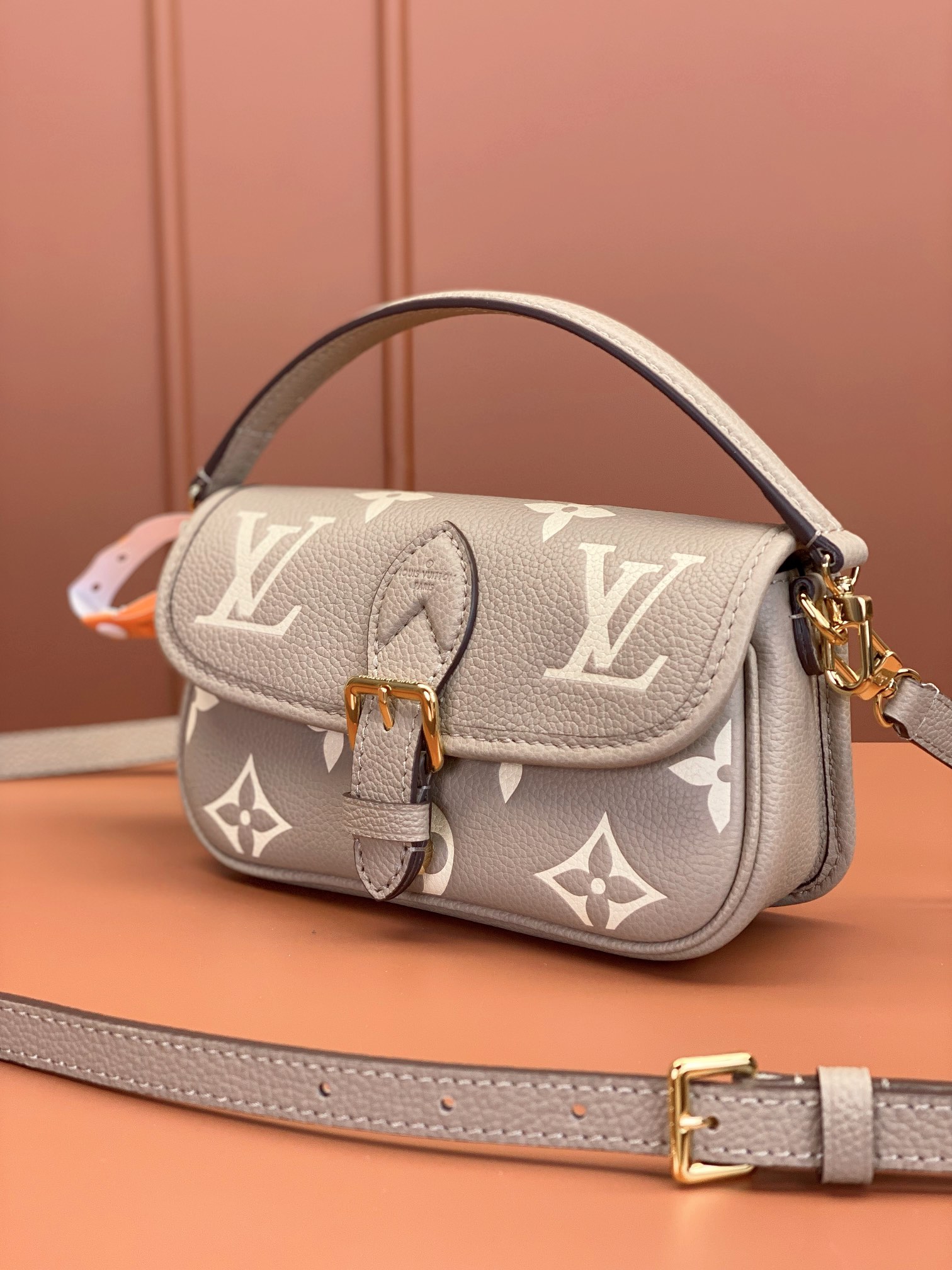 LV Bag
