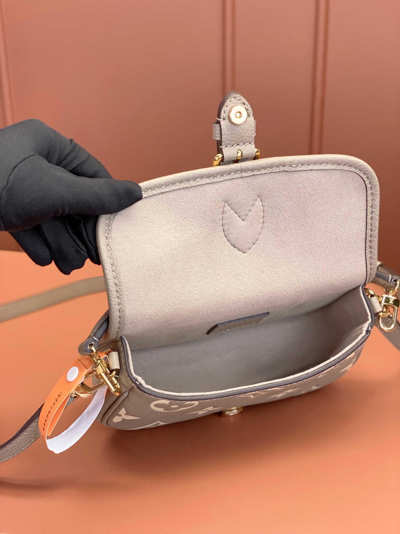 LV Bag