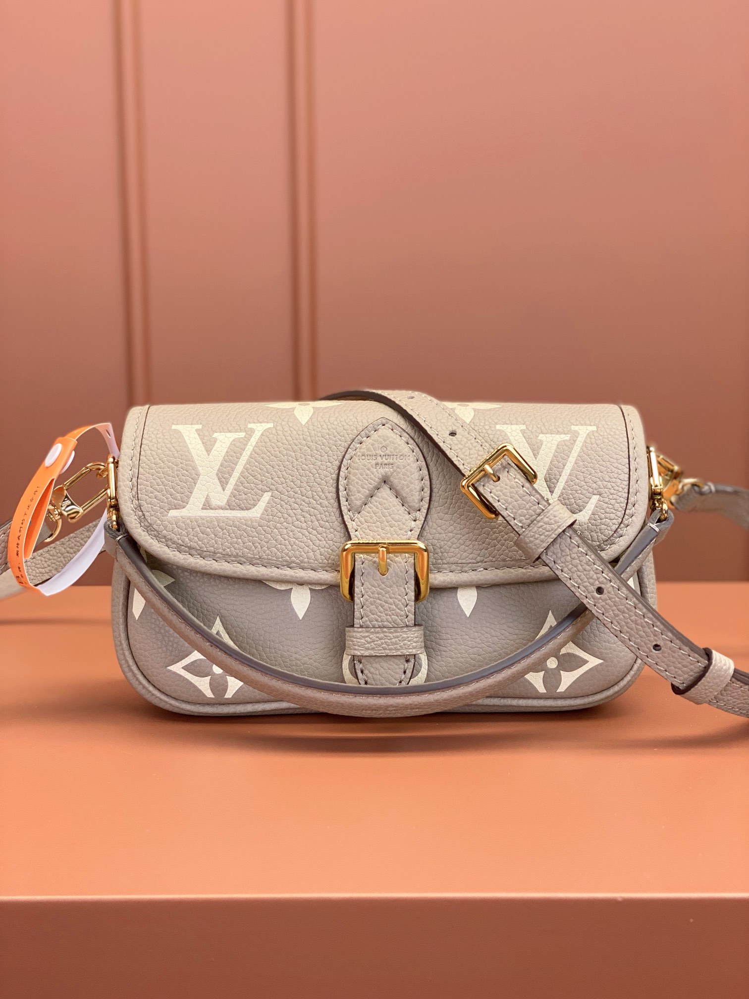 LV Bag
