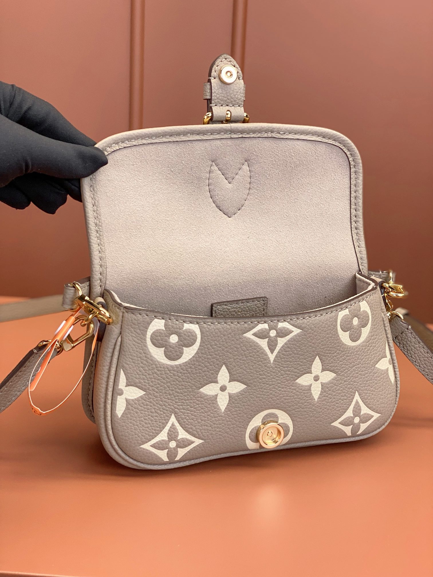 LV Bag