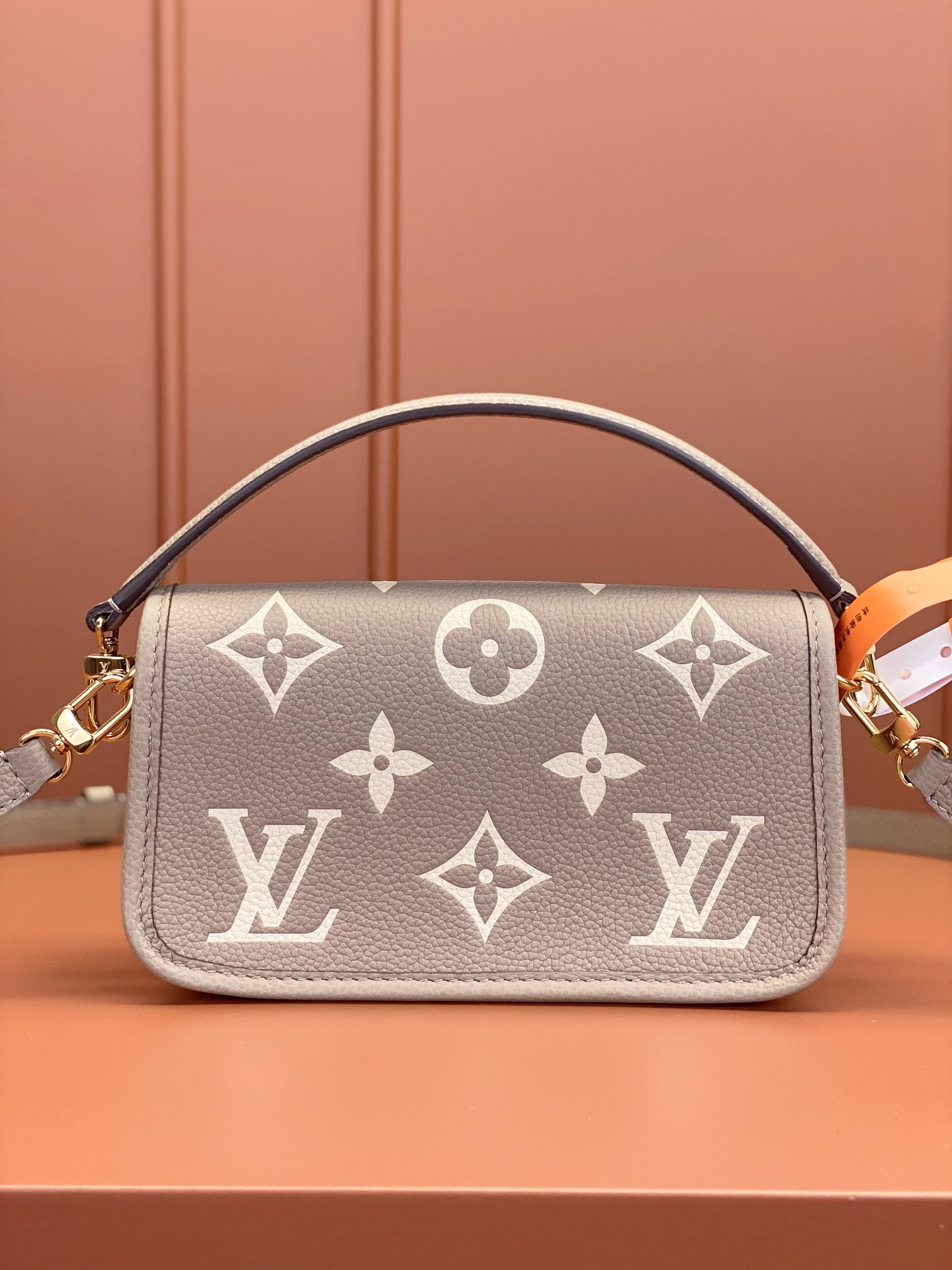 LV Bag