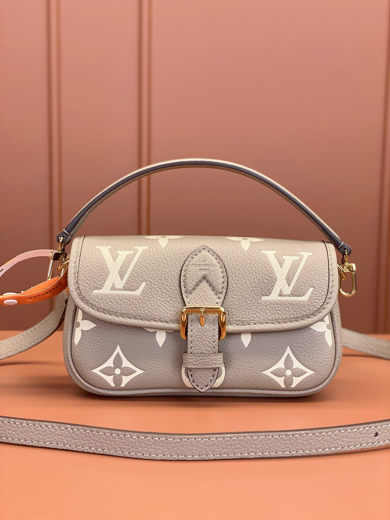 LV Bag