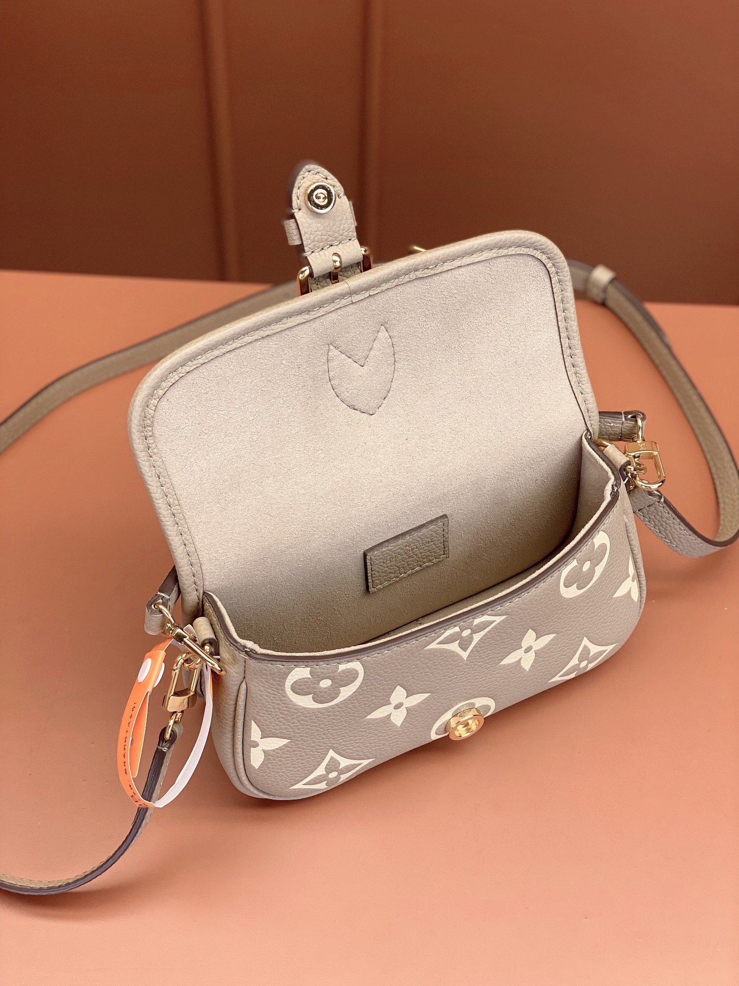LV Bag