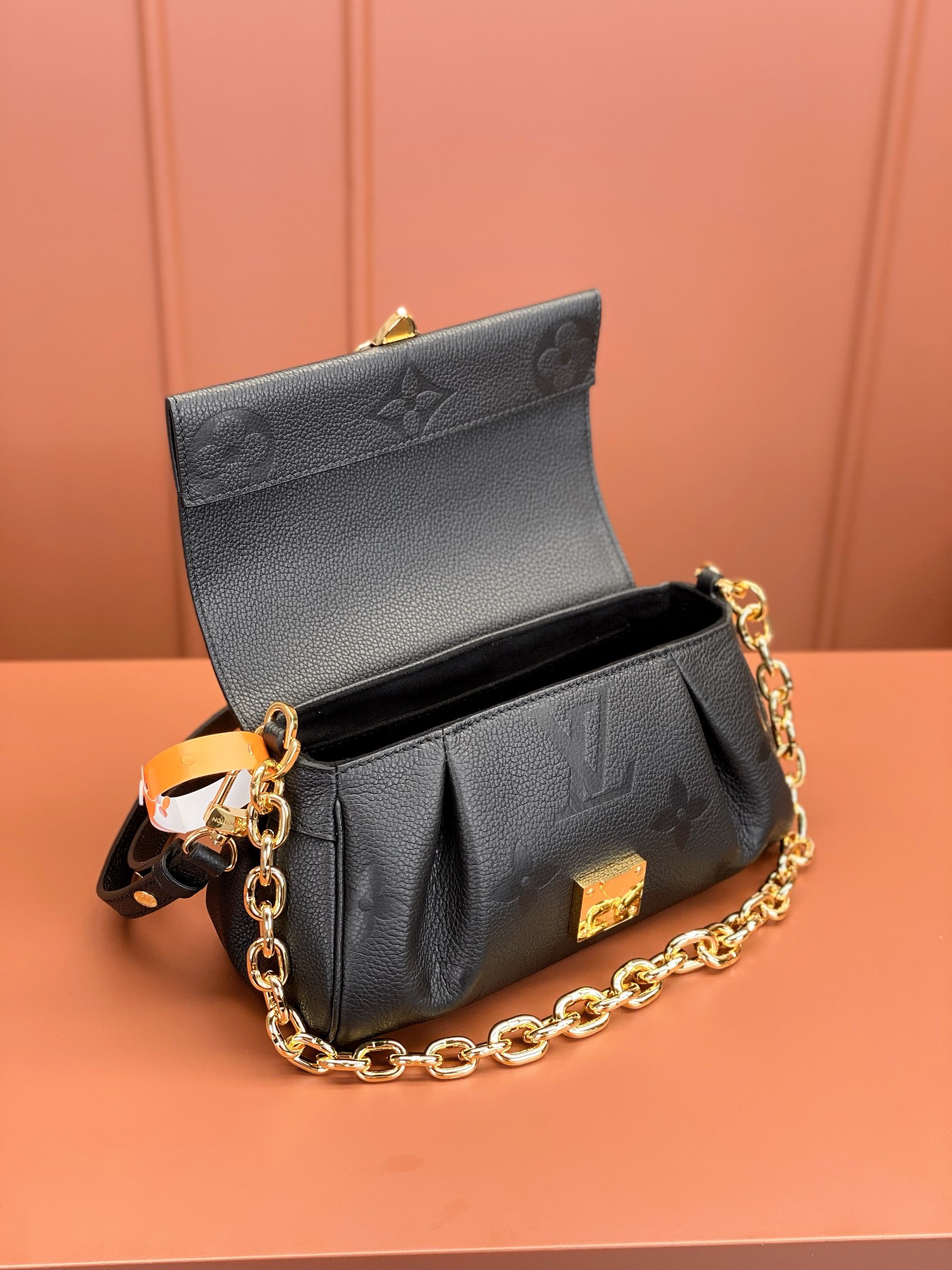 LV Bag