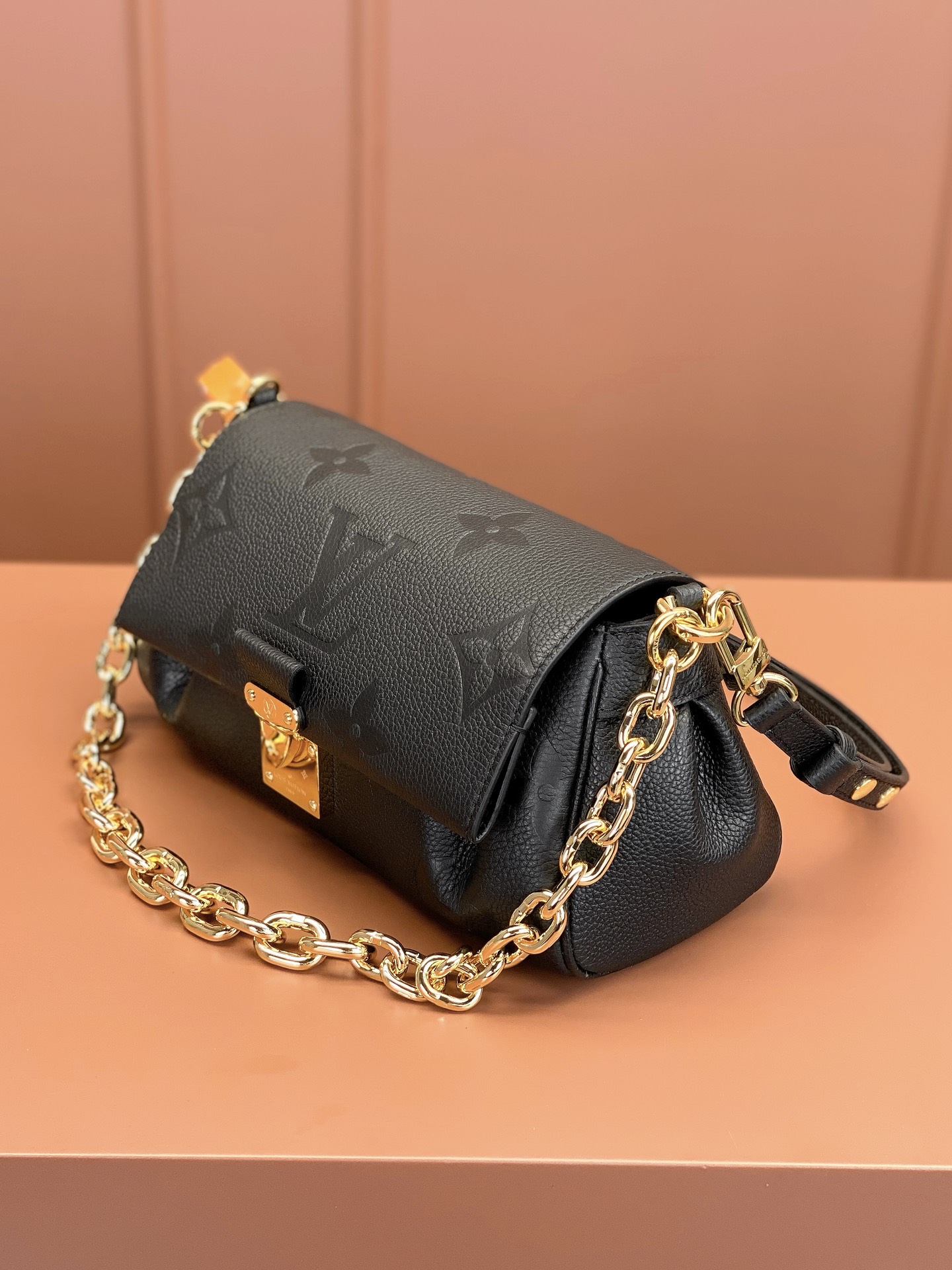 LV Bag