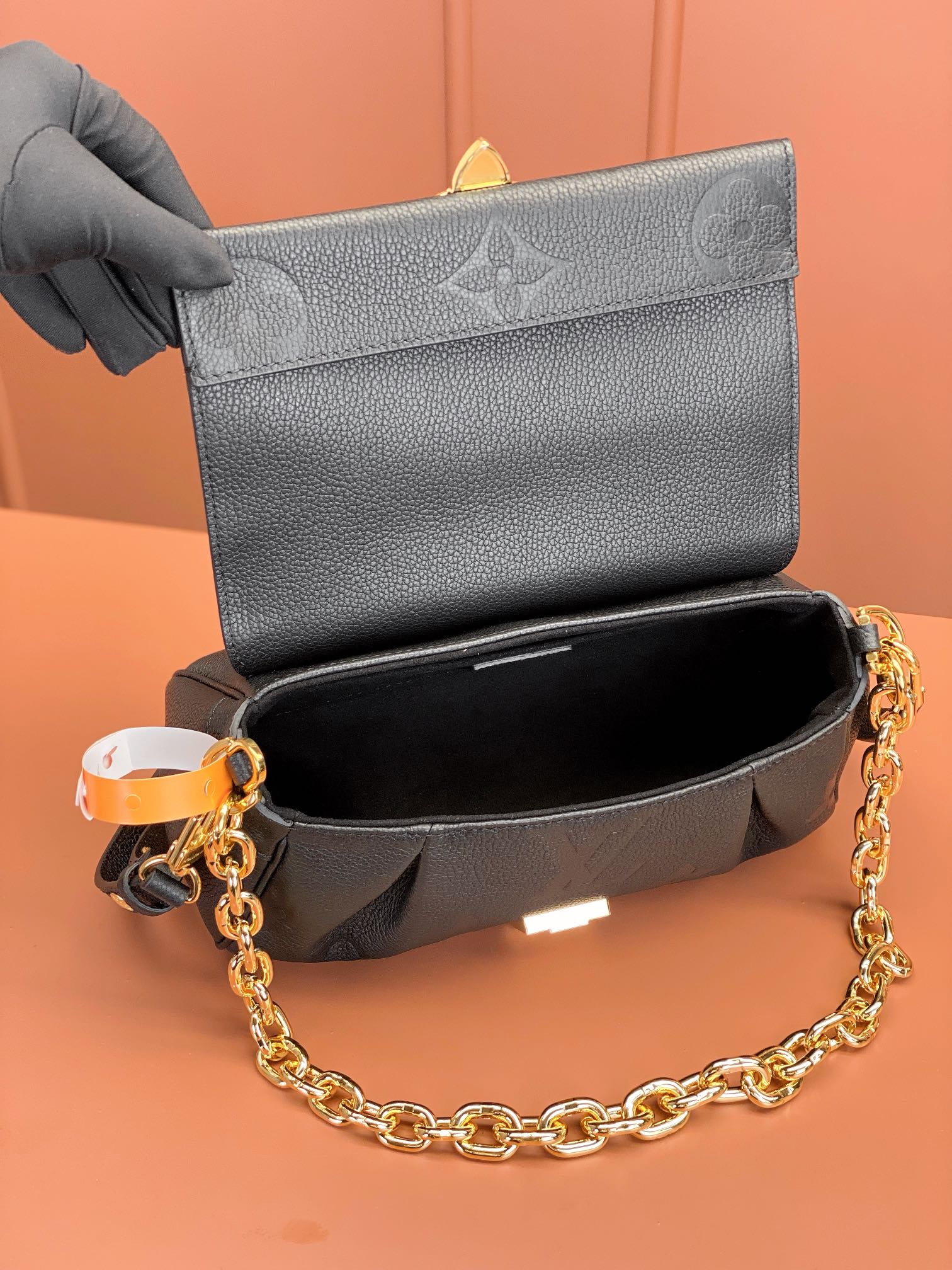 LV Bag