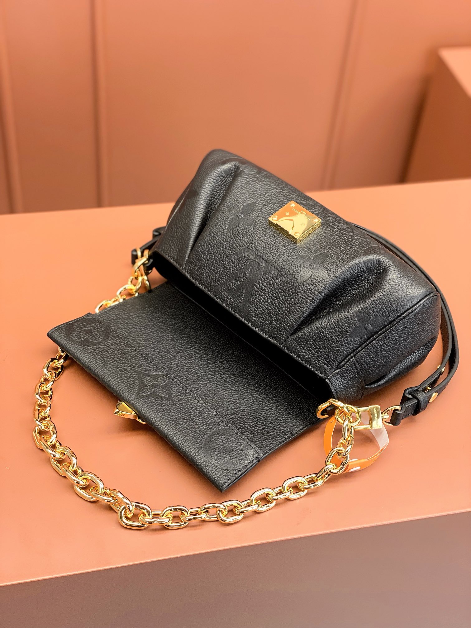 LV Bag