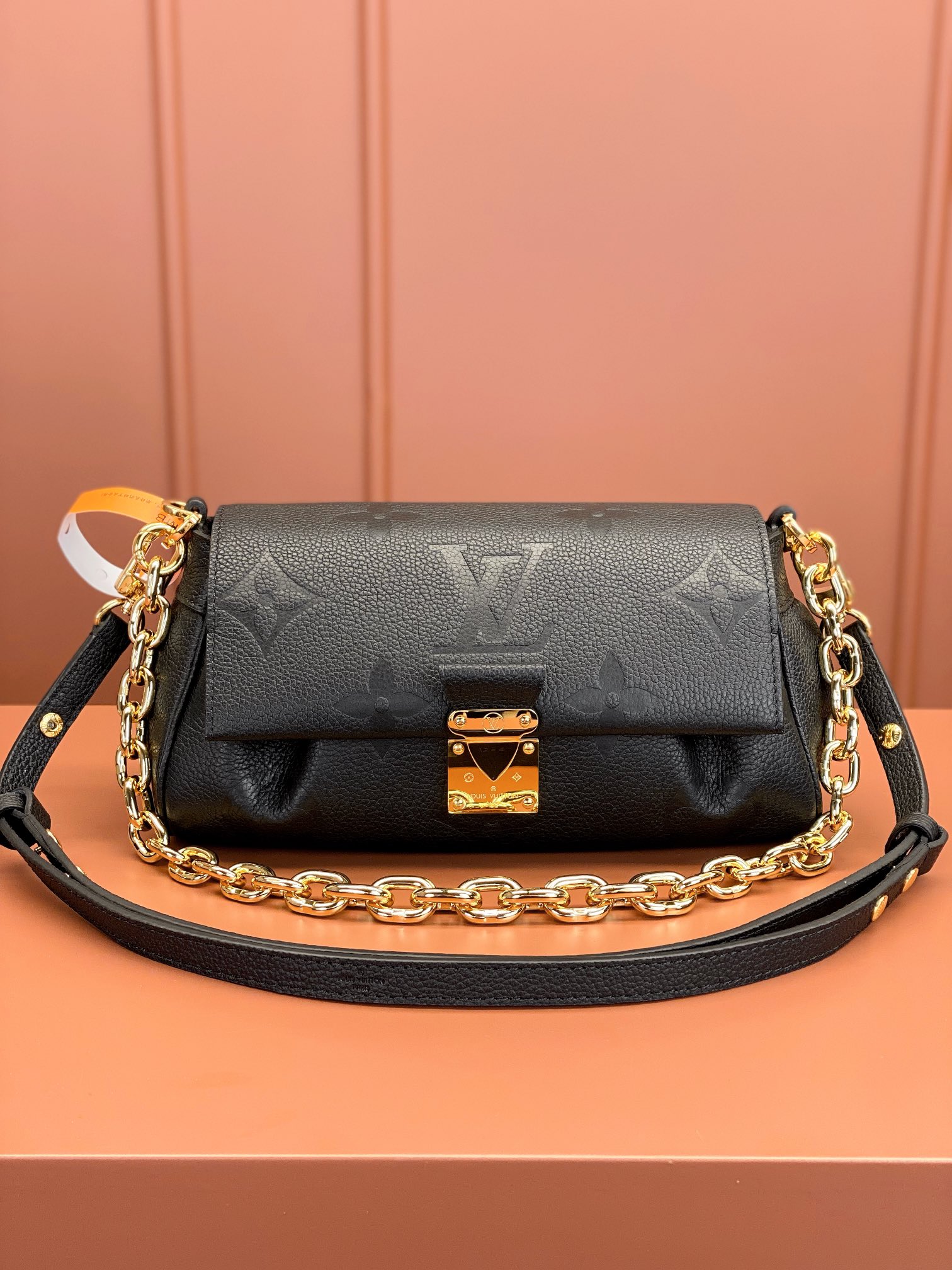 LV Bag