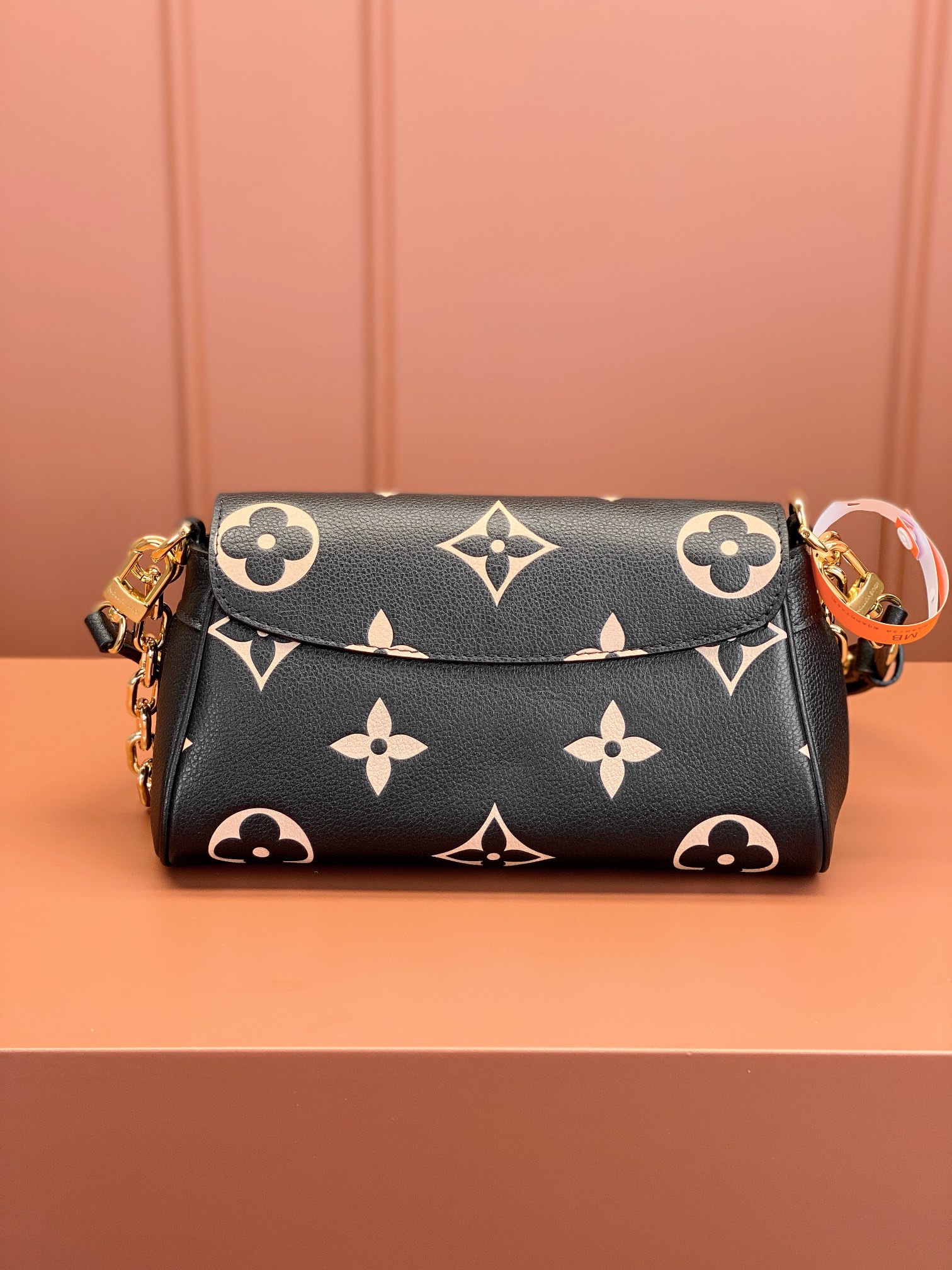 LV Bag